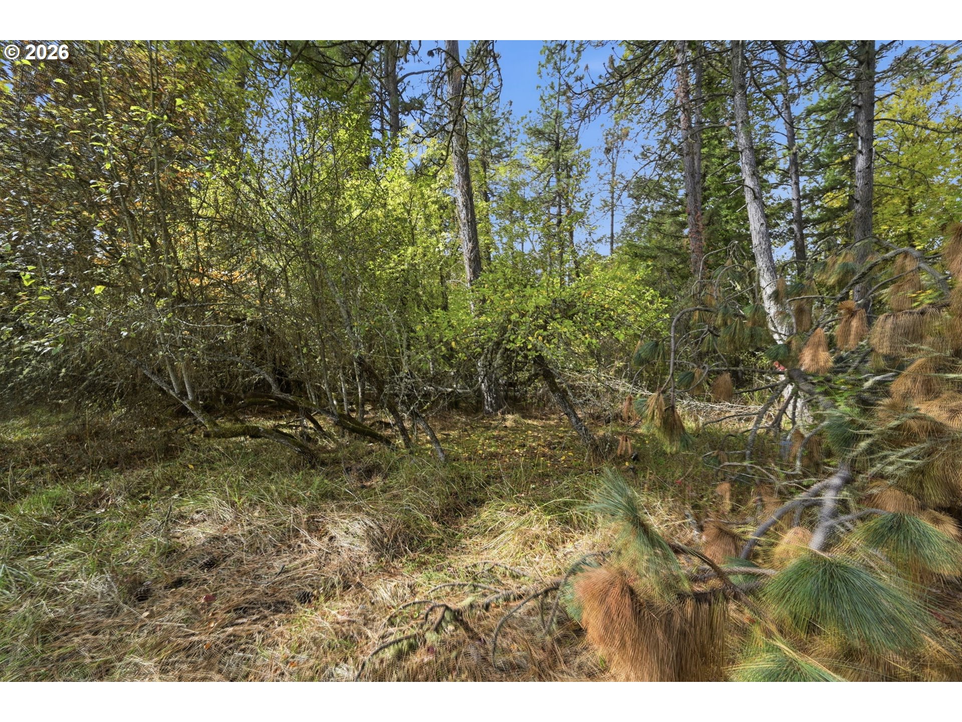 Siesta Ln Property Photo 7