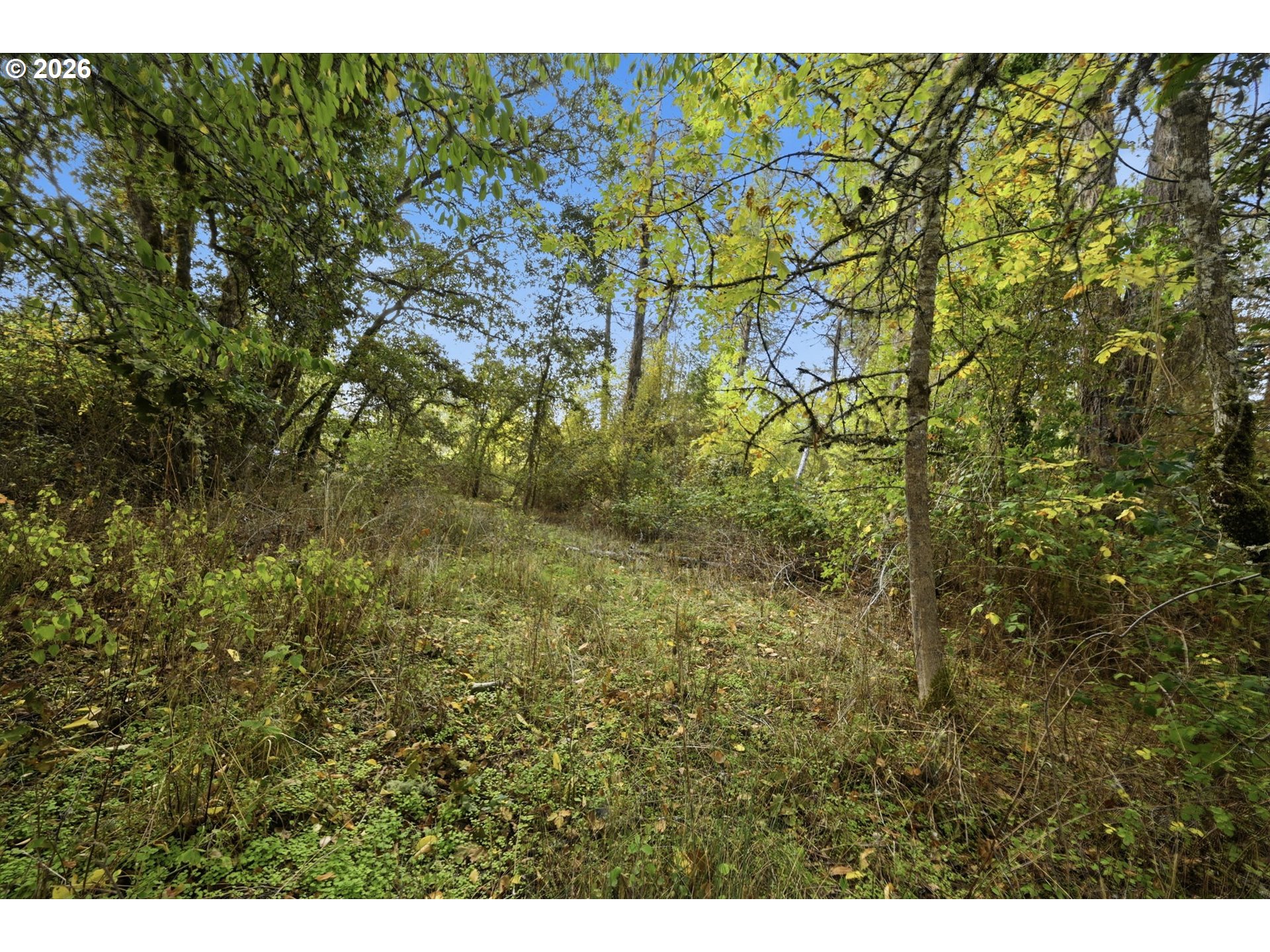 Siesta Ln Property Photo 8