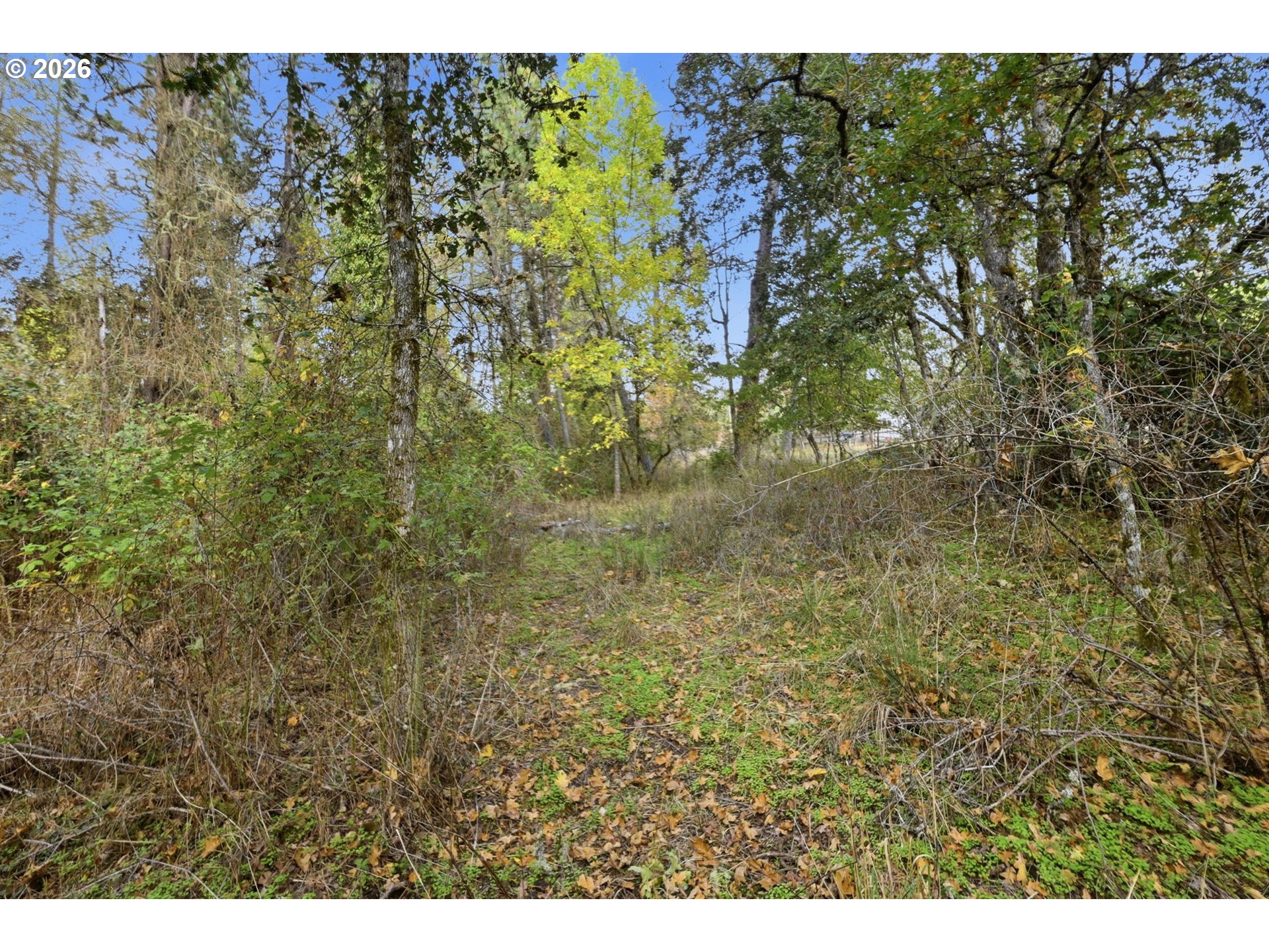 Siesta Ln Property Photo 12