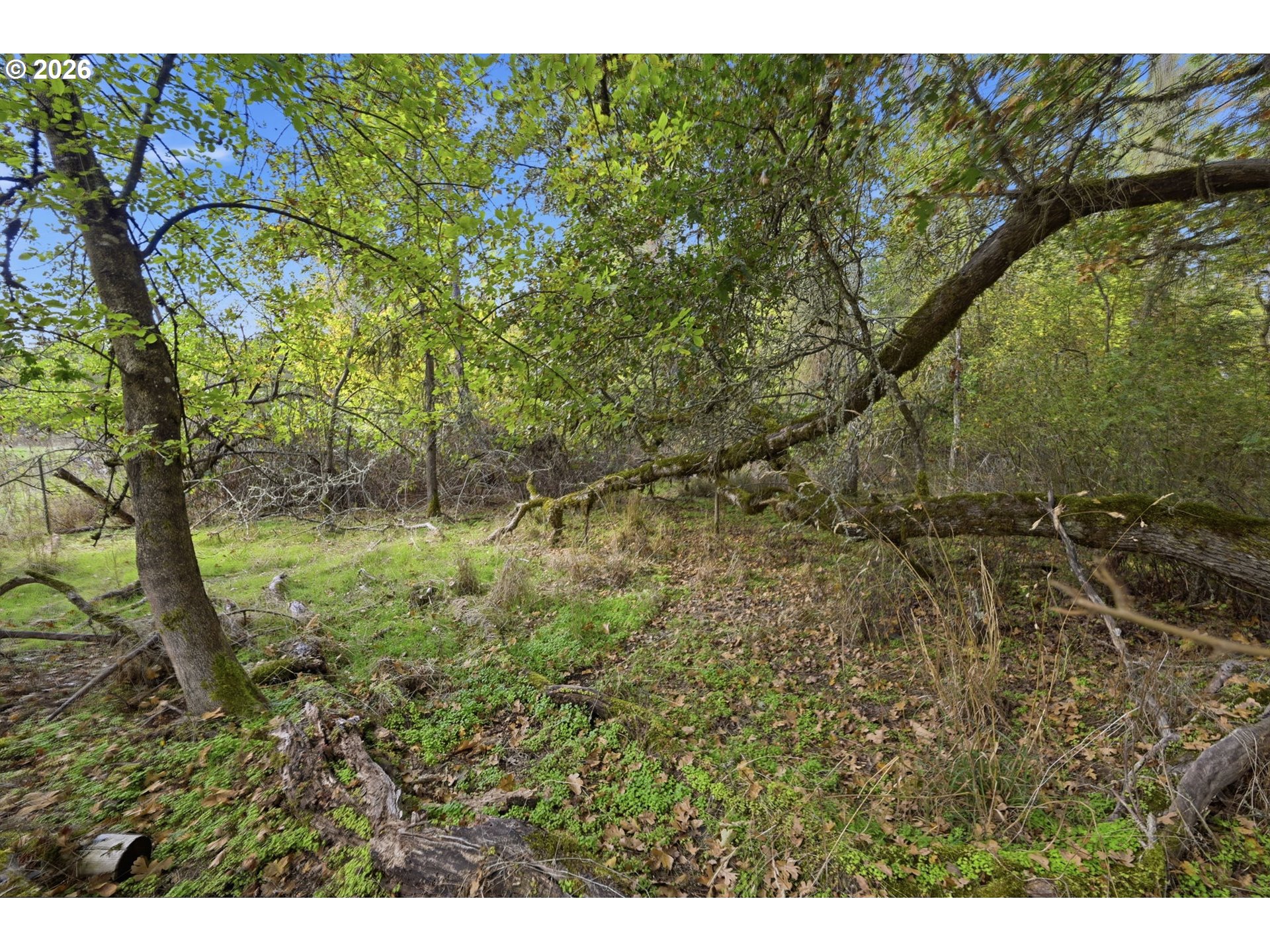 Siesta Ln Property Photo 13