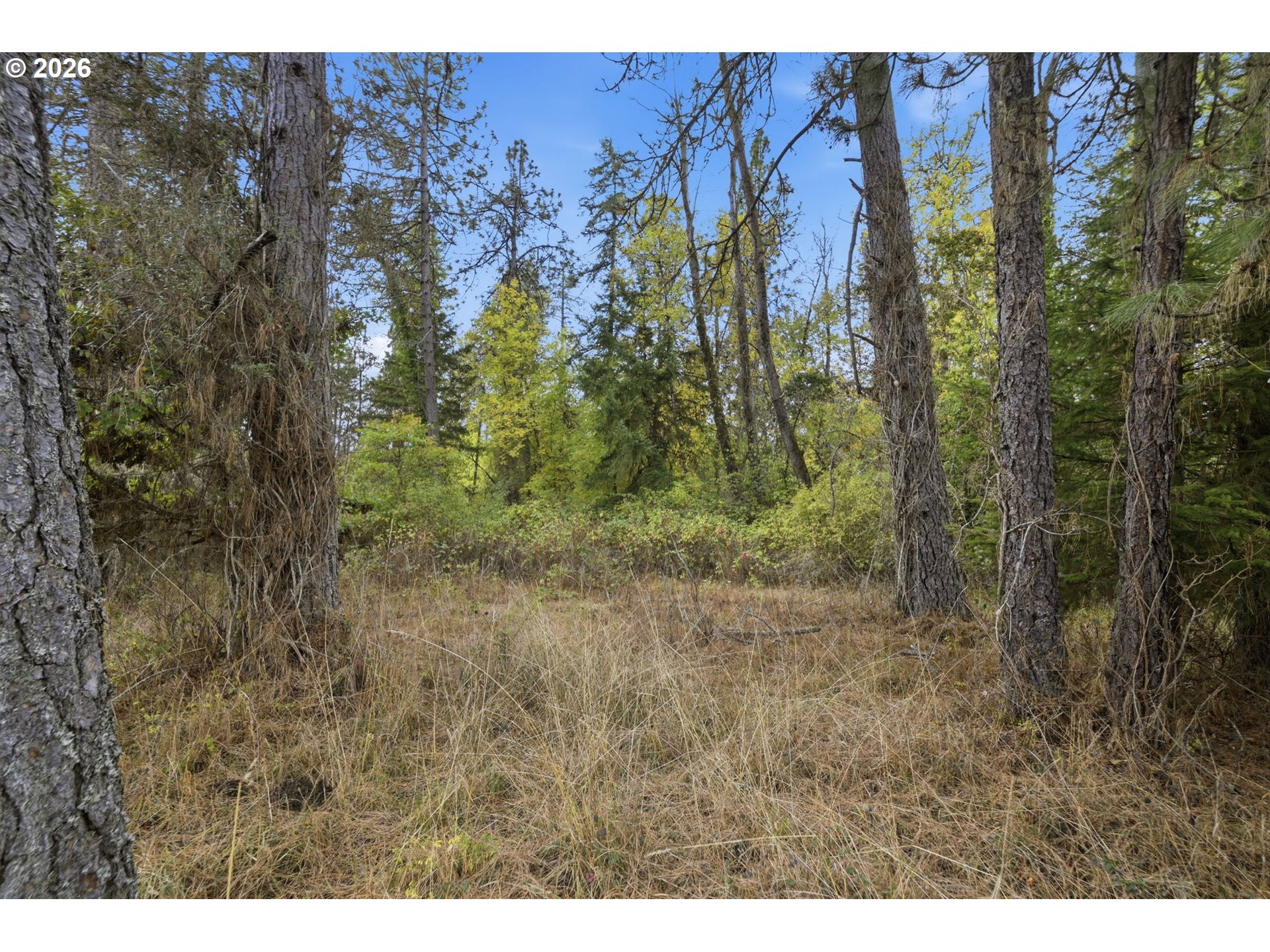 Siesta Ln Property Photo 14