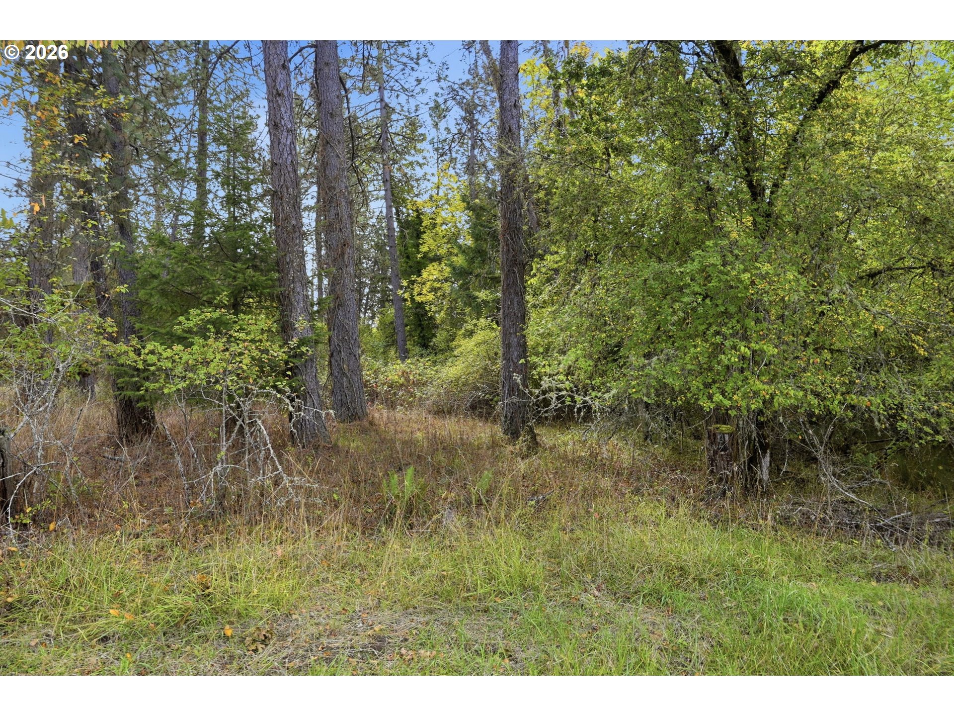 Siesta Ln Property Photo 15