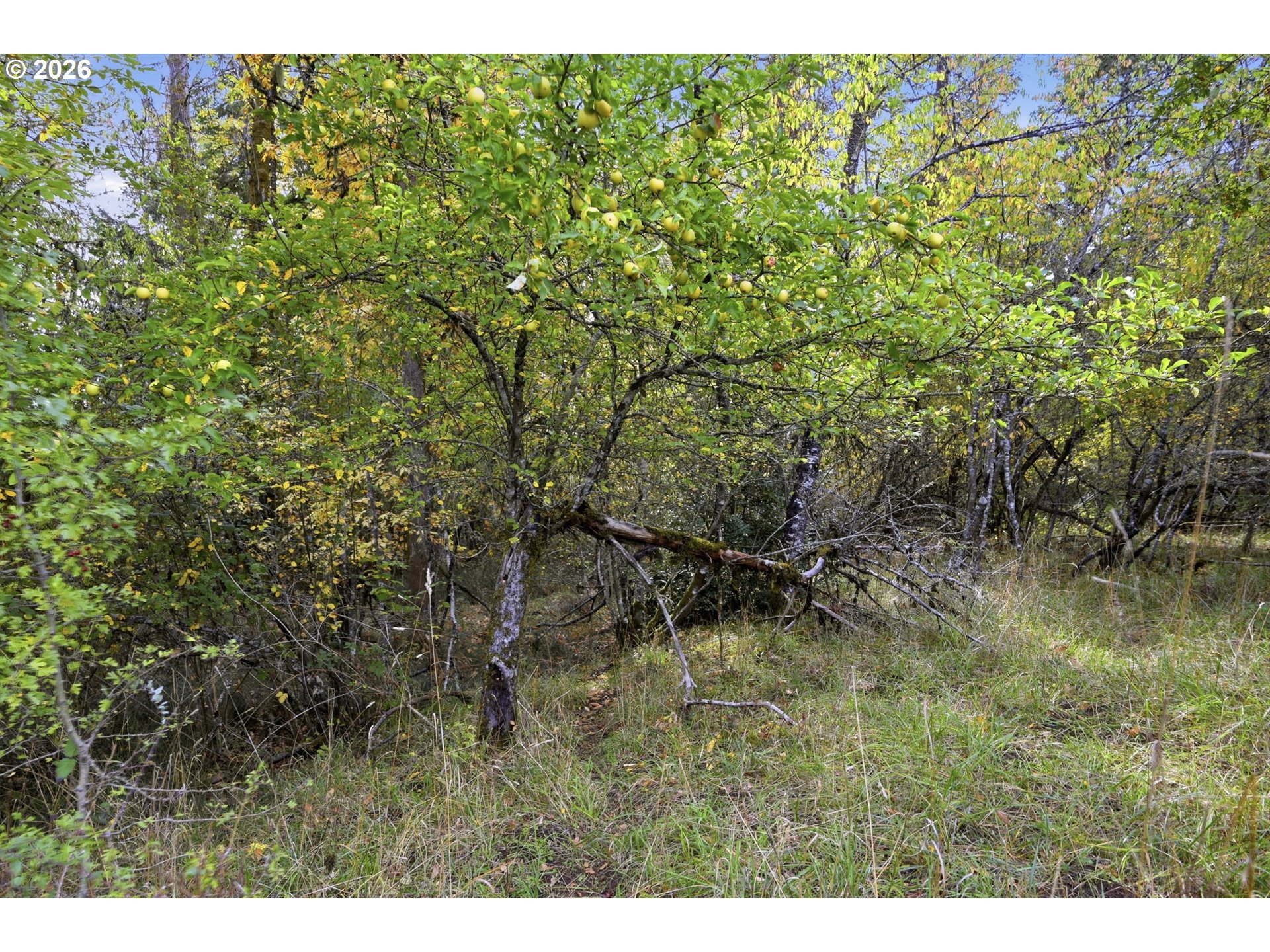 Siesta Ln Property Photo 16