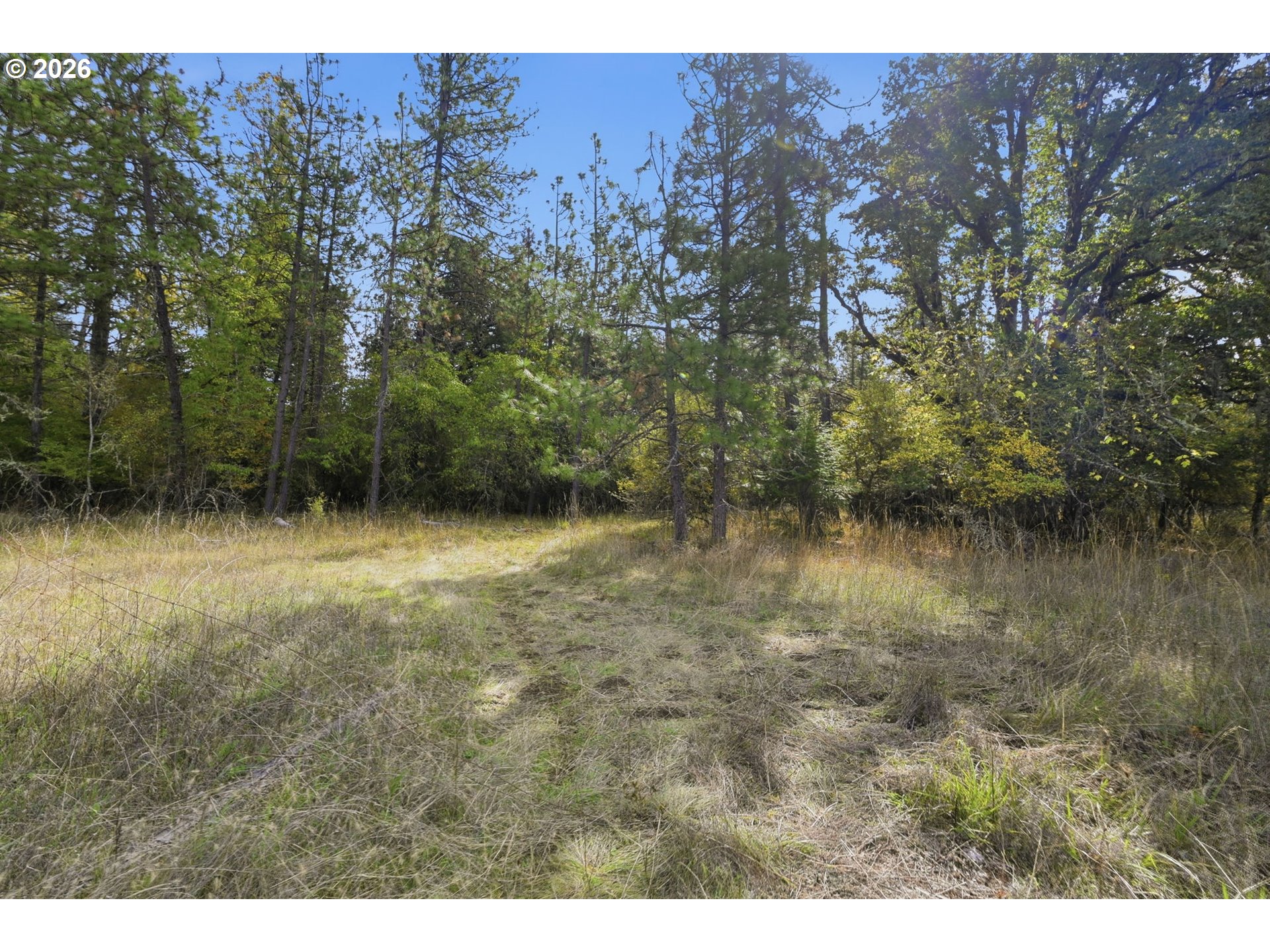Siesta Ln Property Photo 19