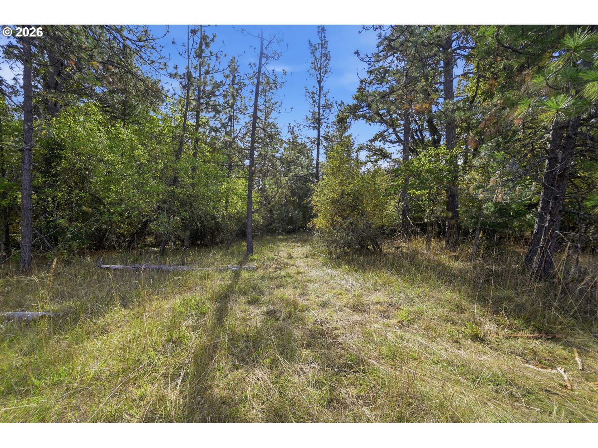Siesta Ln Property Photo 20