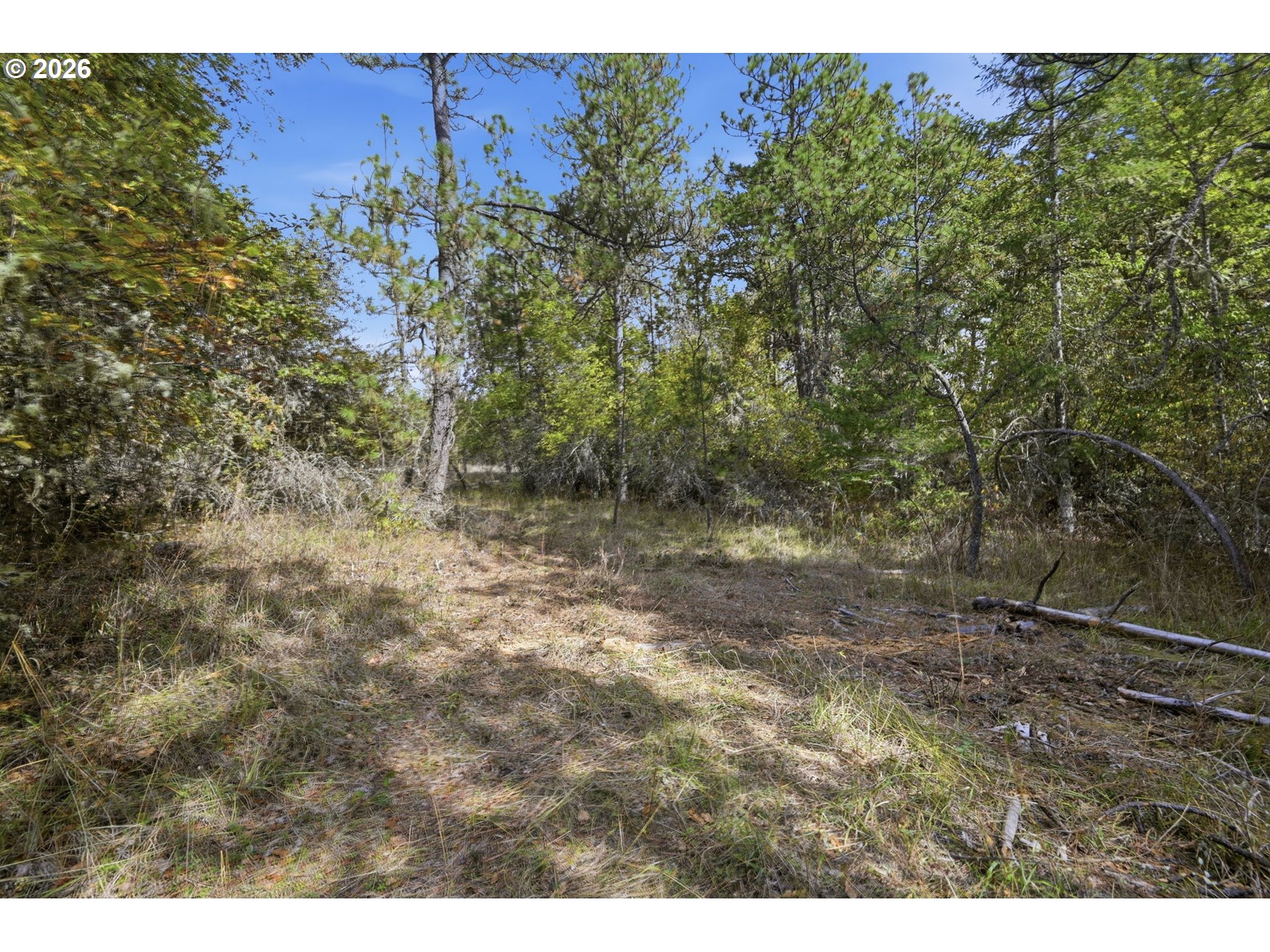Siesta Ln Property Photo 21