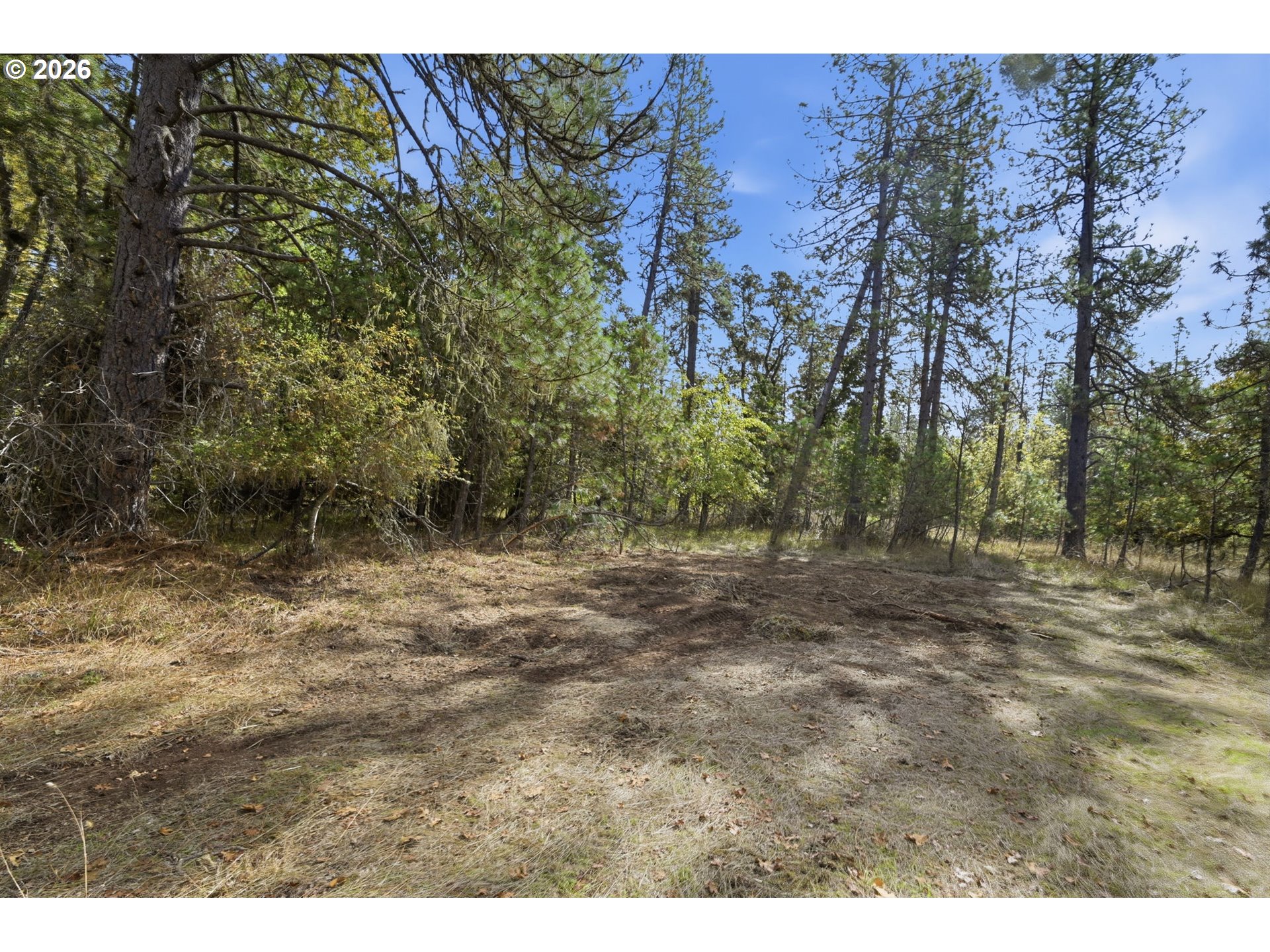 Siesta Ln Property Photo 22