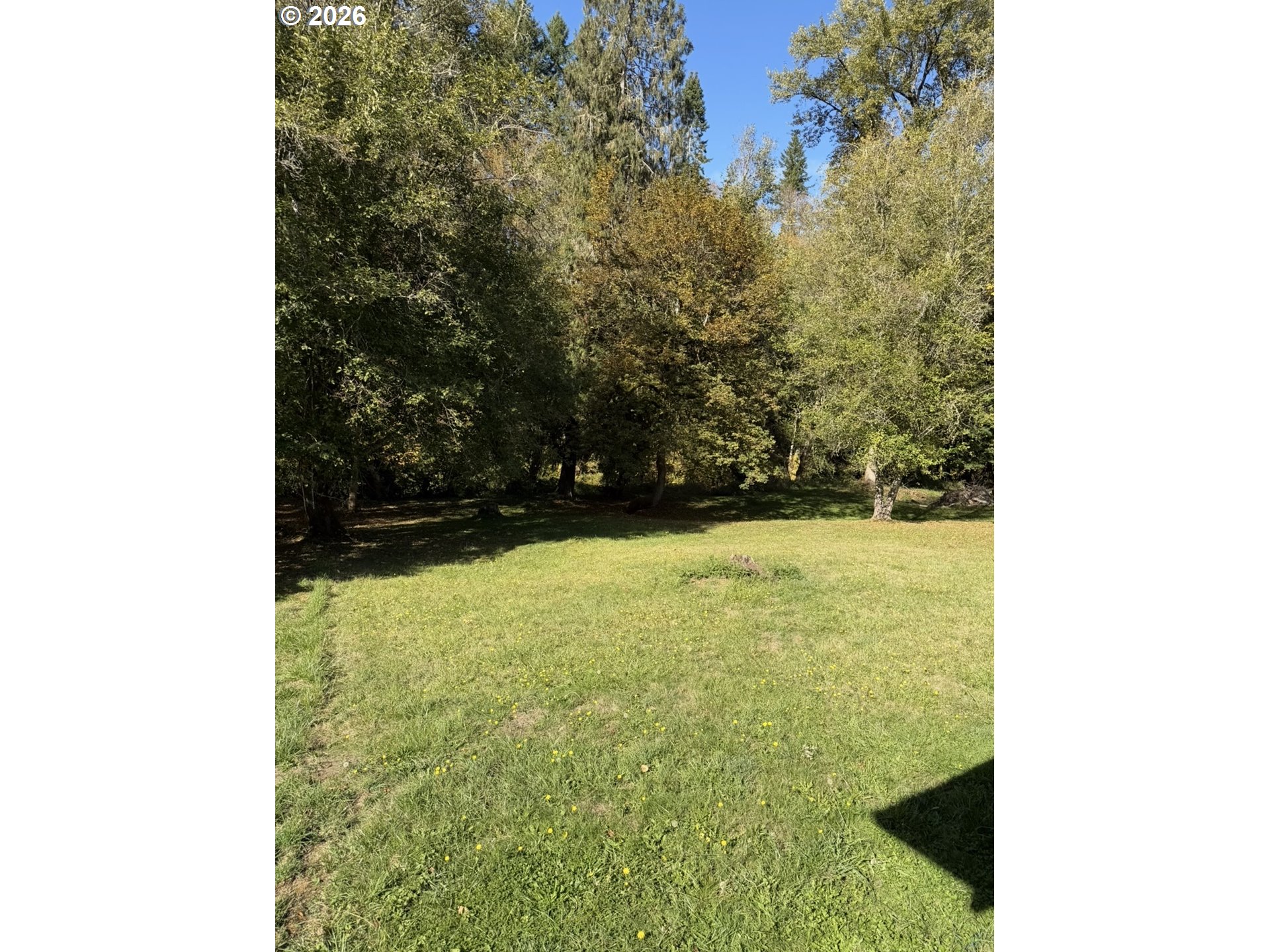 62451 Sleepy Ln Property Photo 8