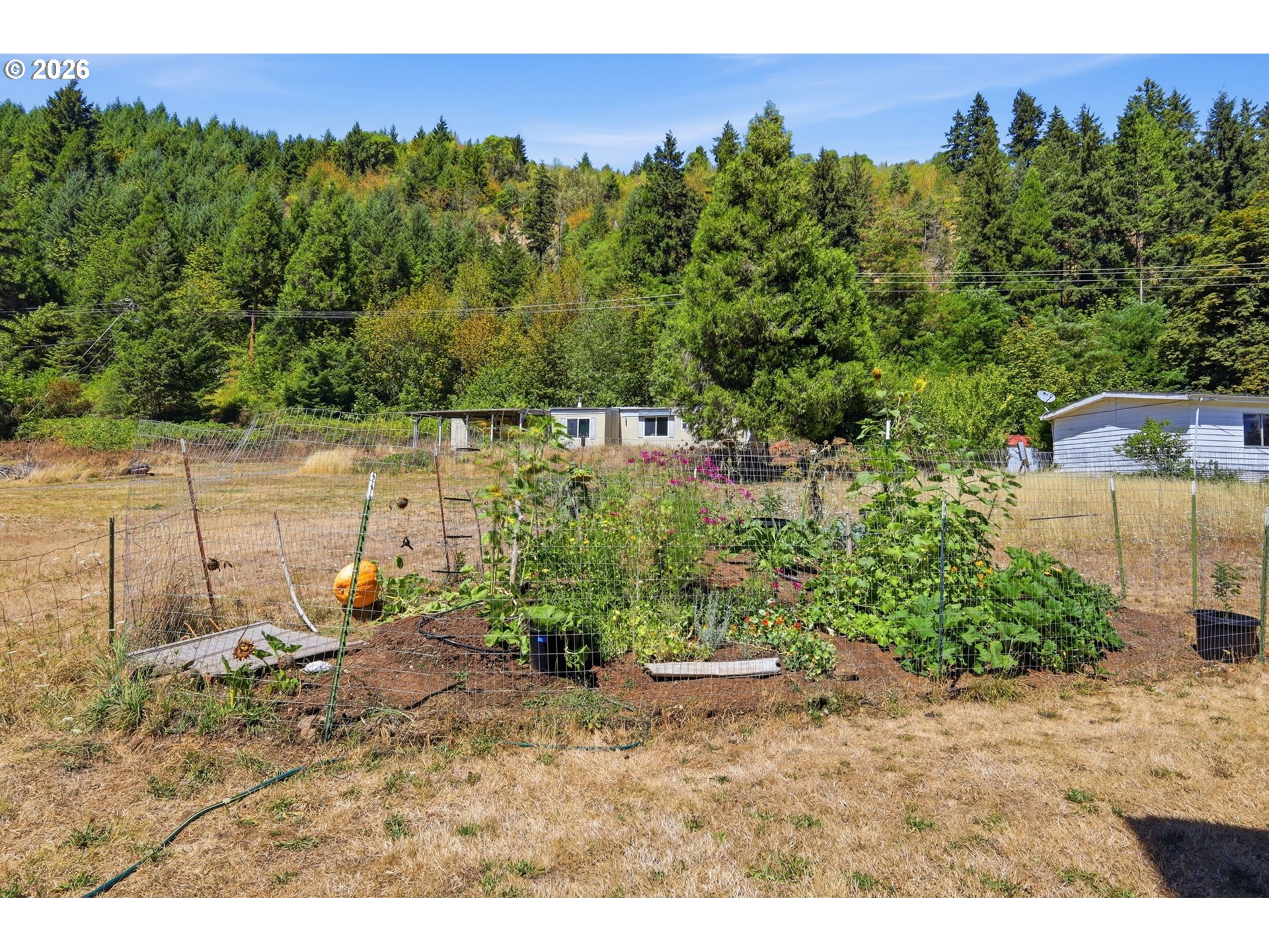76566 Davis Rd Property Photo 7