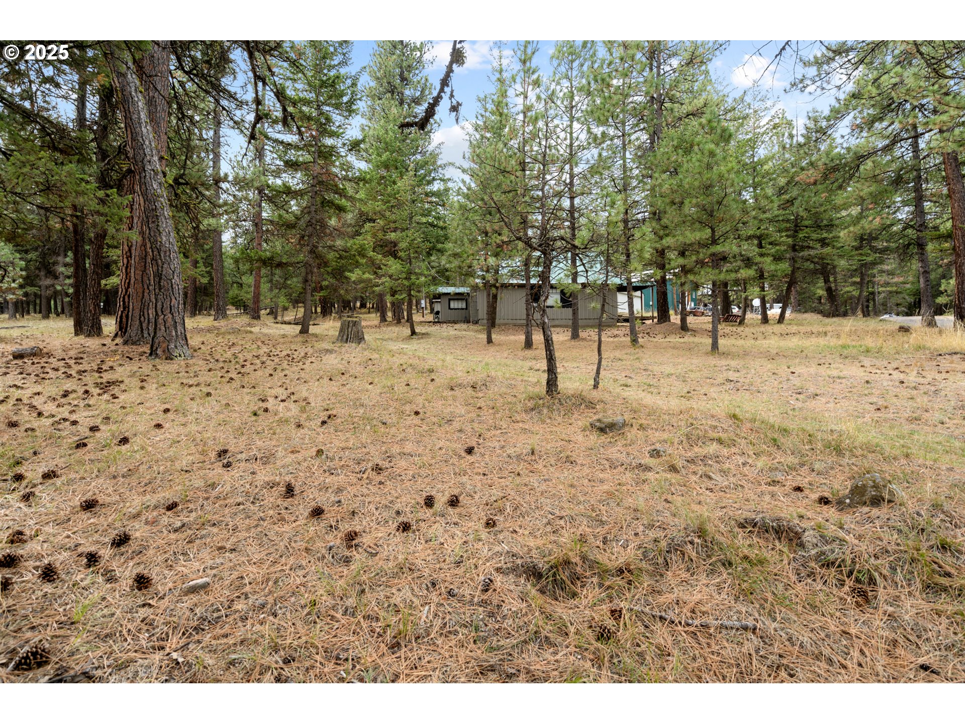 80982 Cougar Ln Property Photo 27