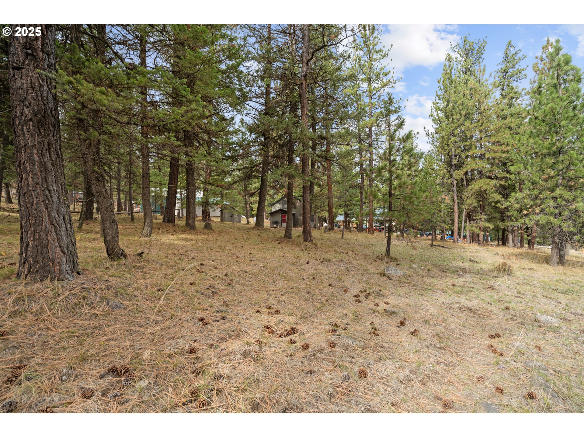 80982 Cougar Ln Property Photo 28