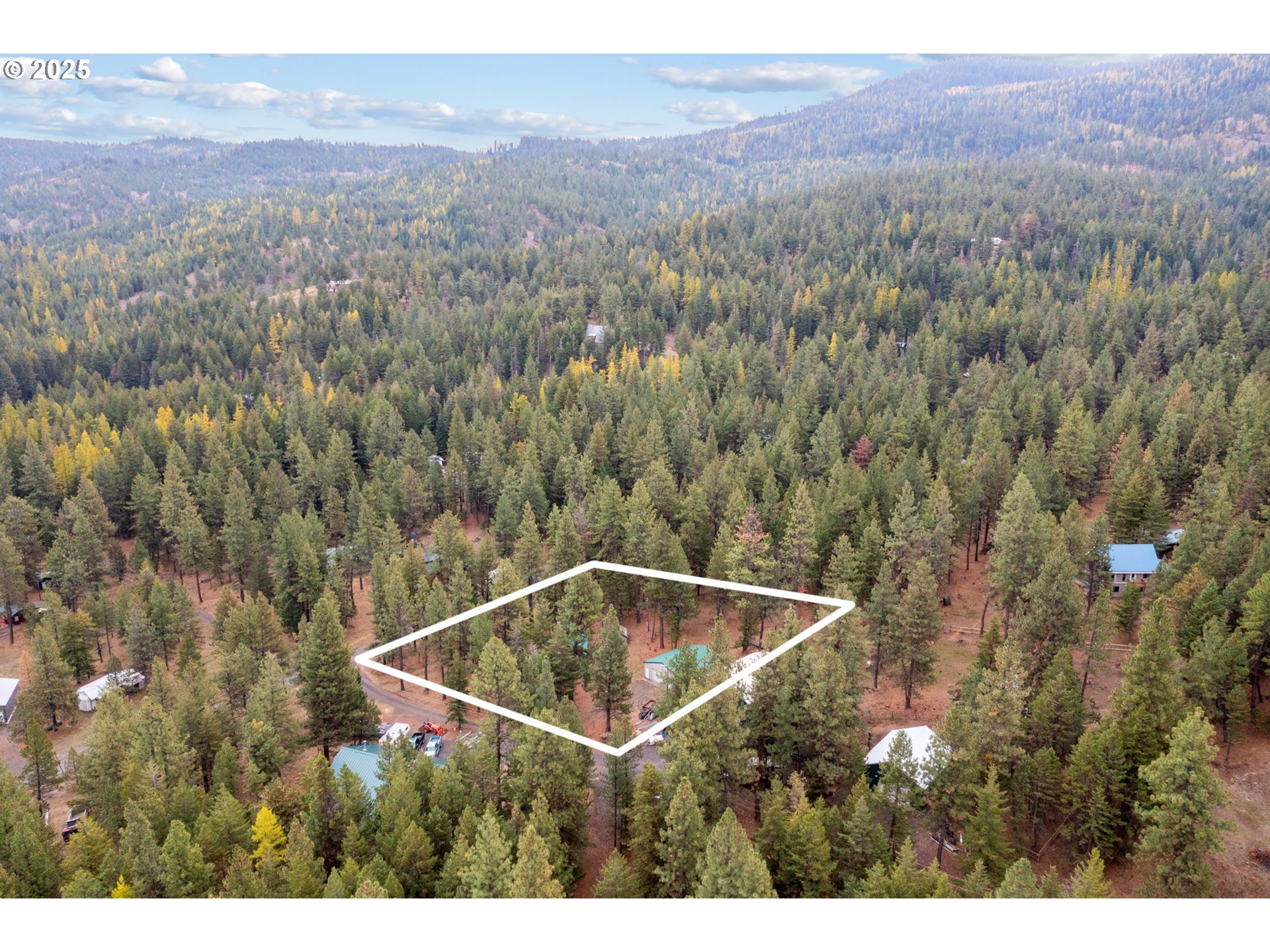 80982 Cougar Ln Property Photo 42