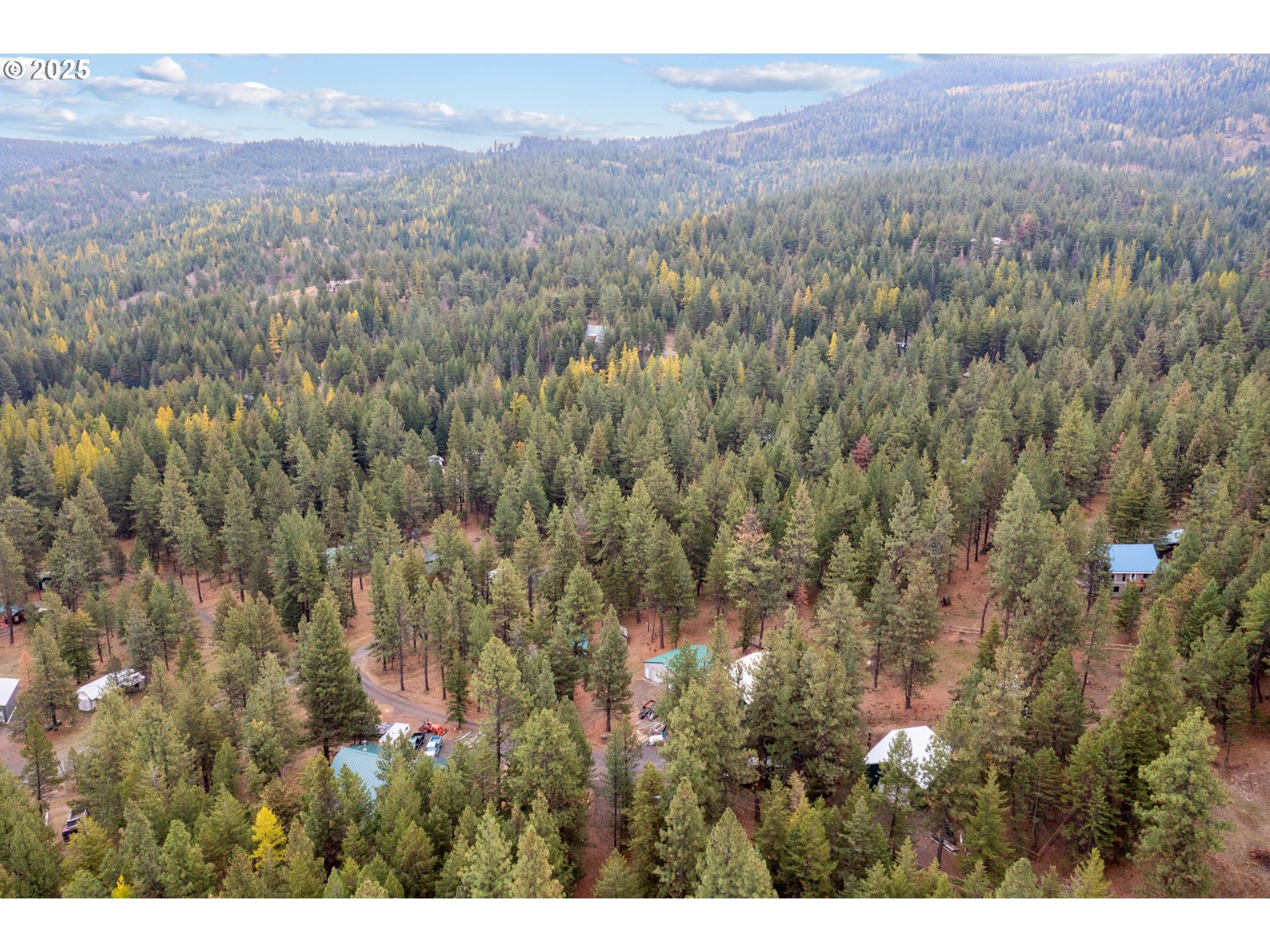 80982 Cougar Ln Property Photo 45