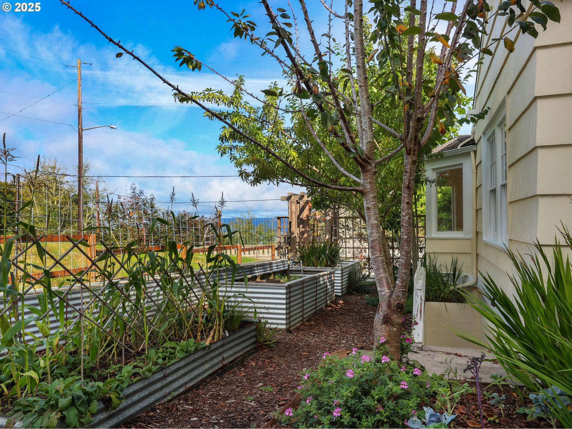 1925 Irving Ave Property Photo 41