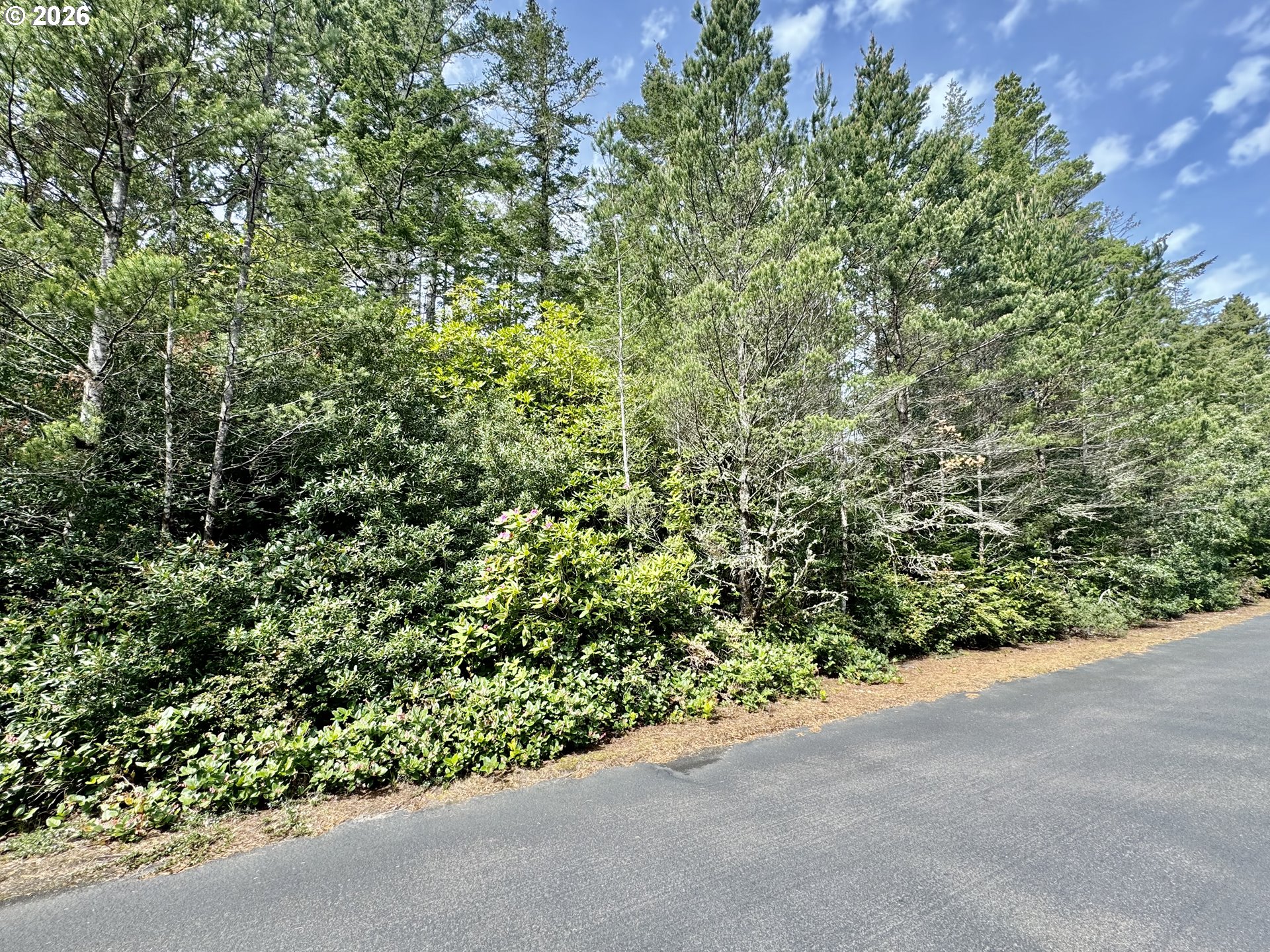 Kelsie Way 57 Property Photo 5