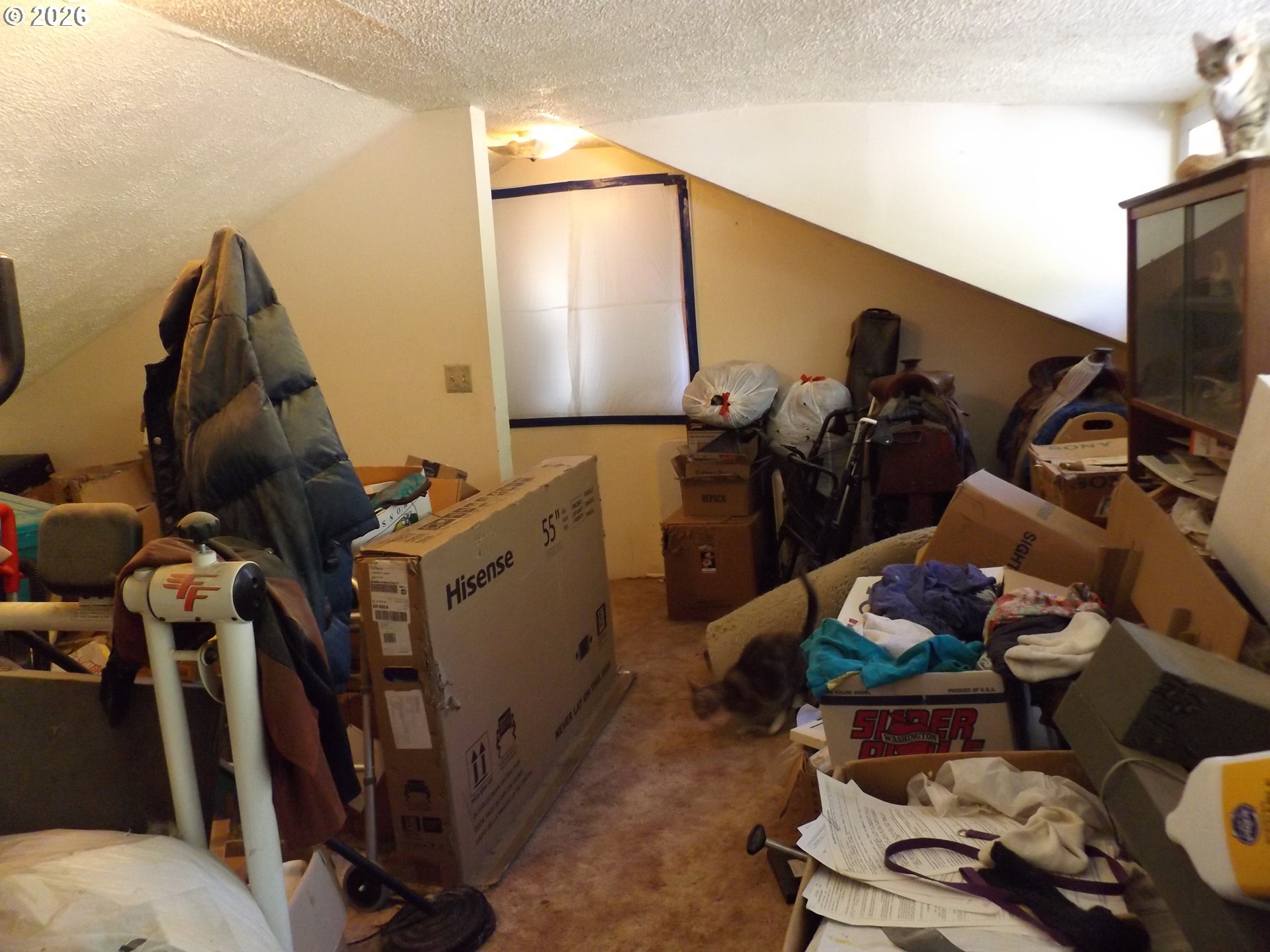 1144 Starveout Creek Rd Property Photo 11