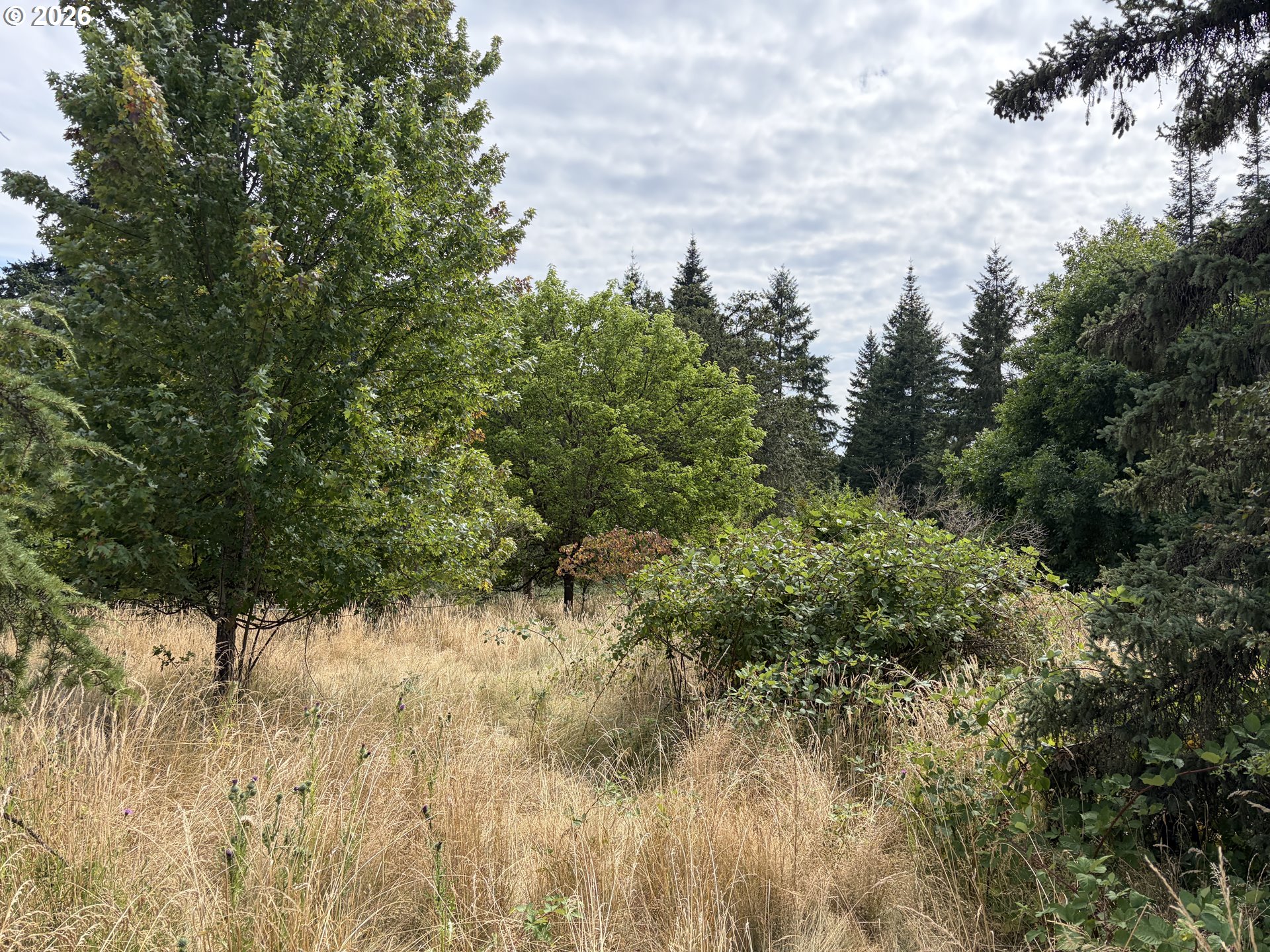 9006 Scotts Valley Rd Property Photo 29