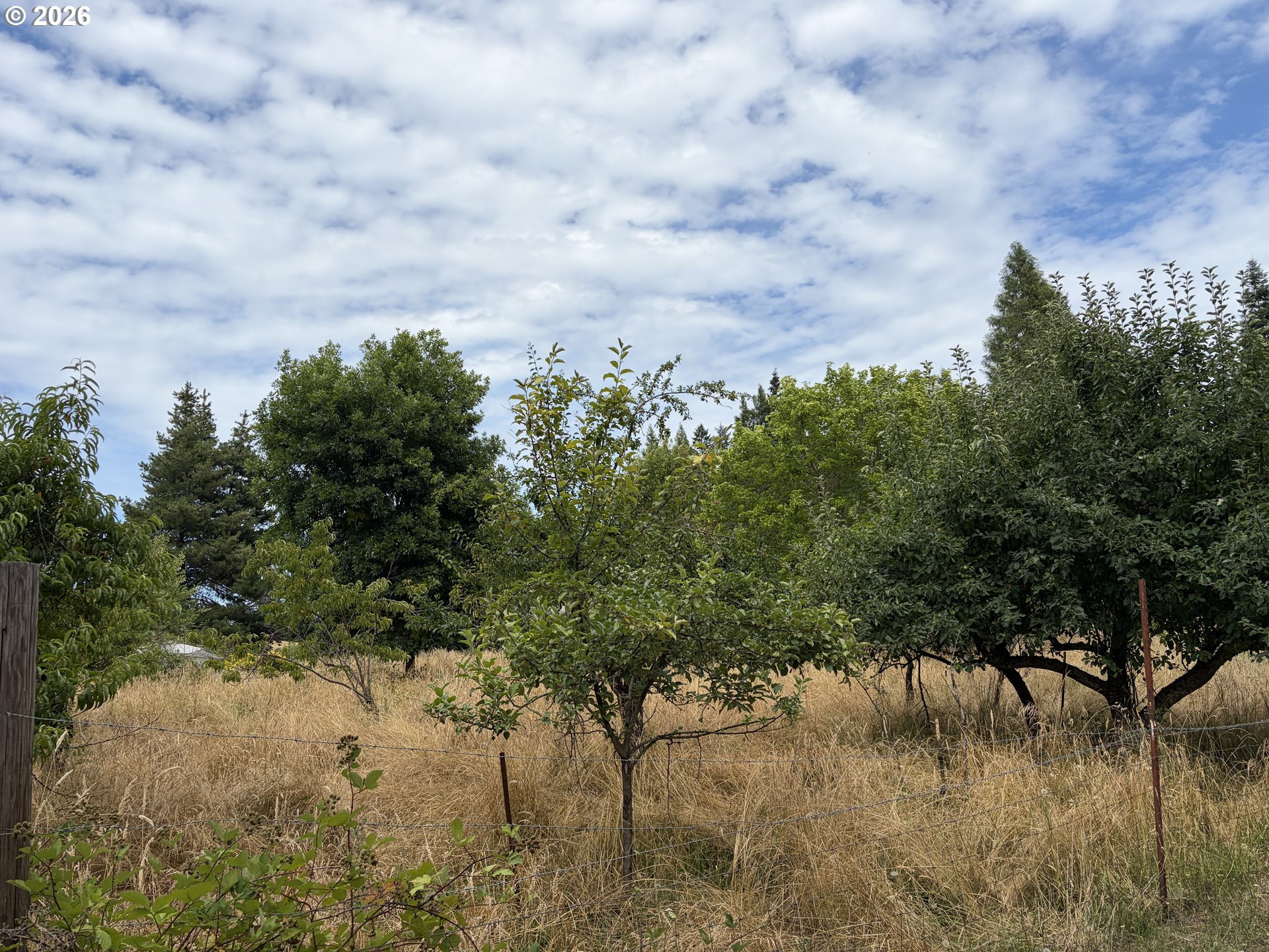 9006 Scotts Valley Rd Property Photo 34
