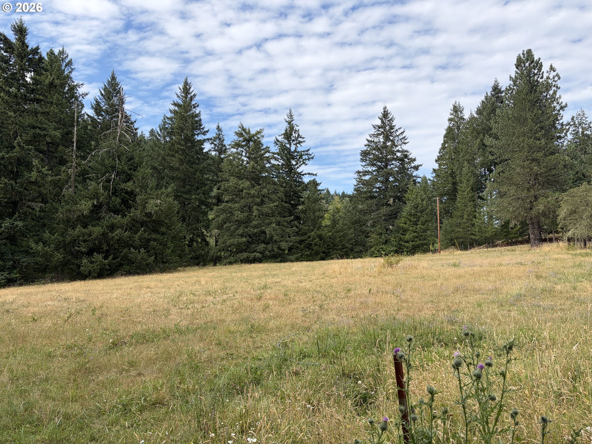 9006 Scotts Valley Rd Property Photo 36