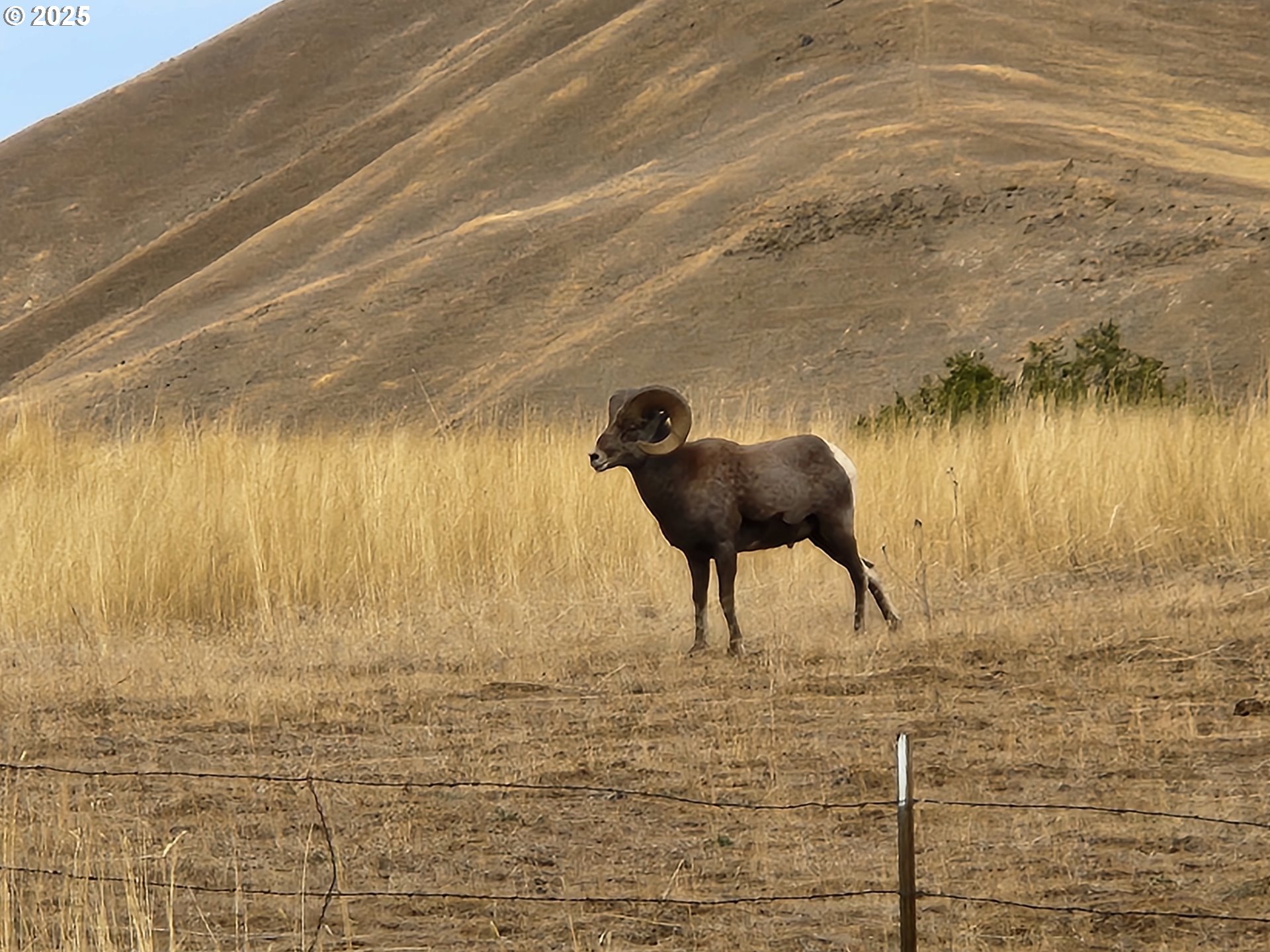 34559 Snake River Rd Property Photo 15