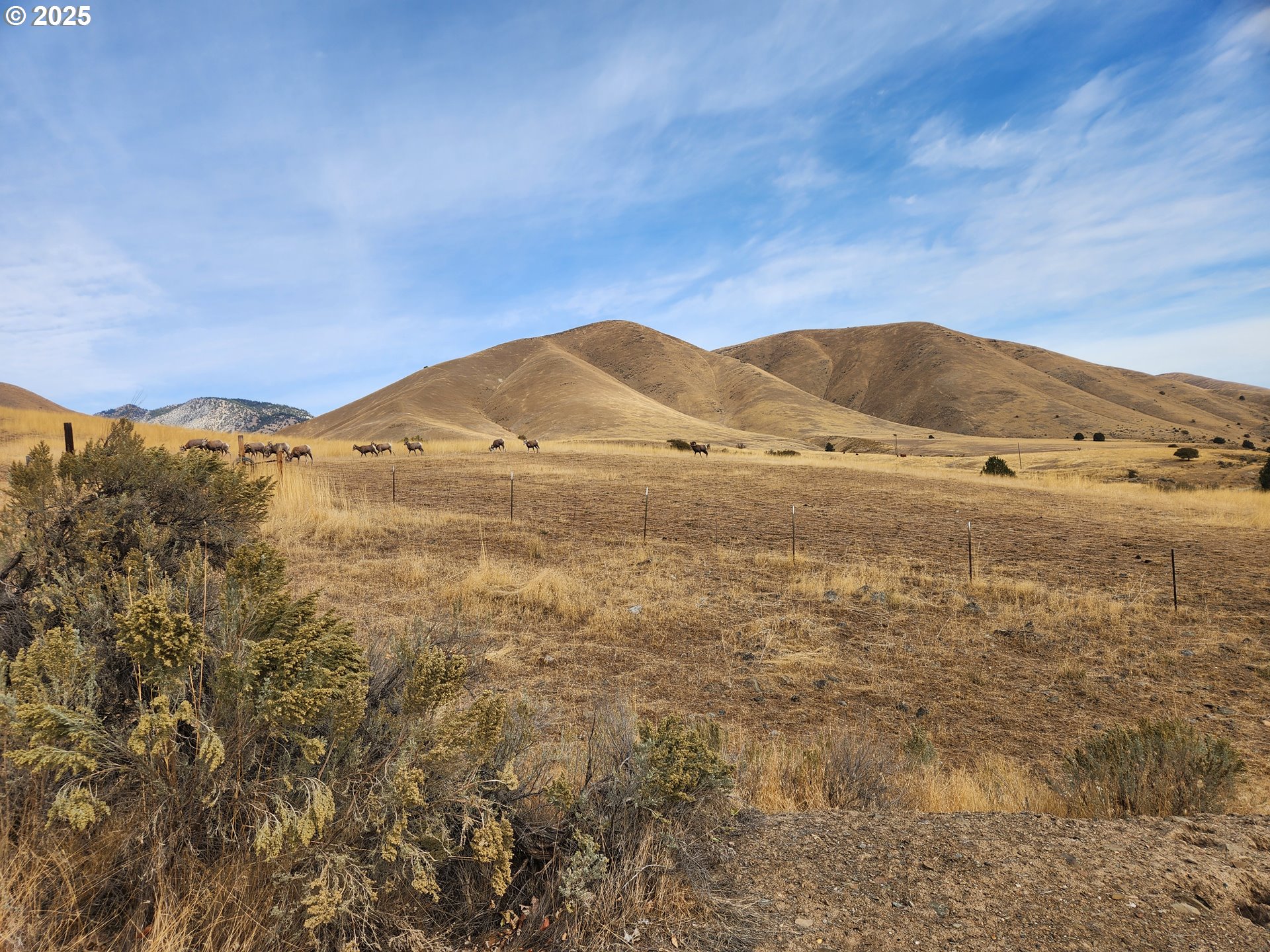 34559 Snake River Rd Property Photo 16