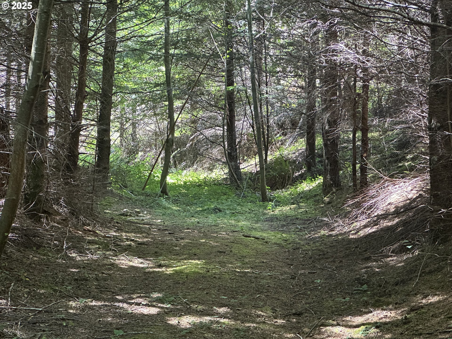 0 Glenn Creek RD 300