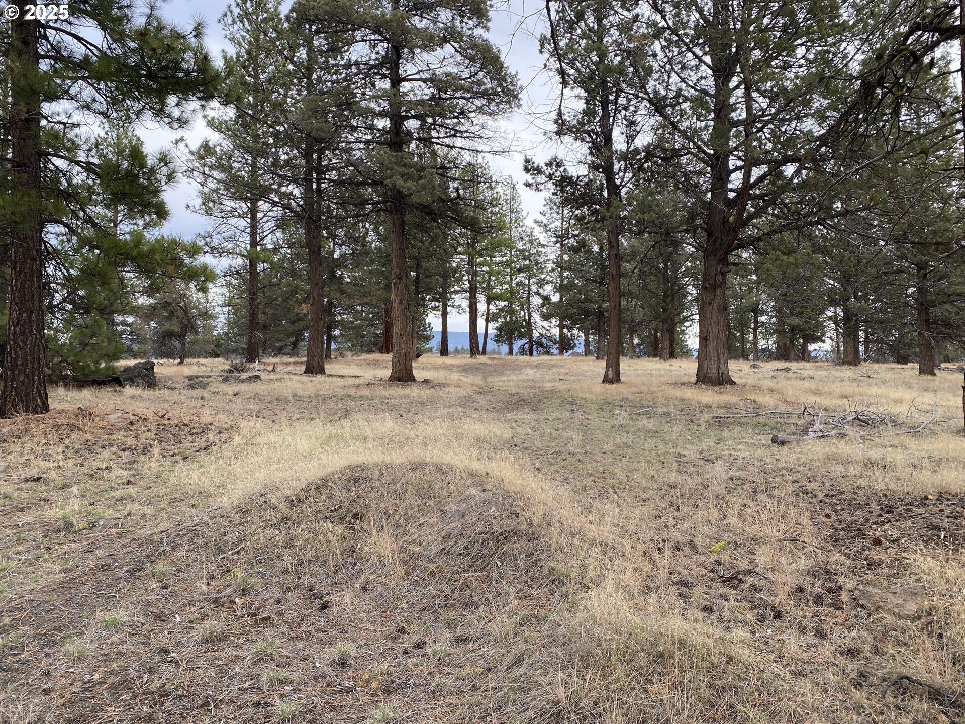 0 Widgeon Dr Property Photo 1