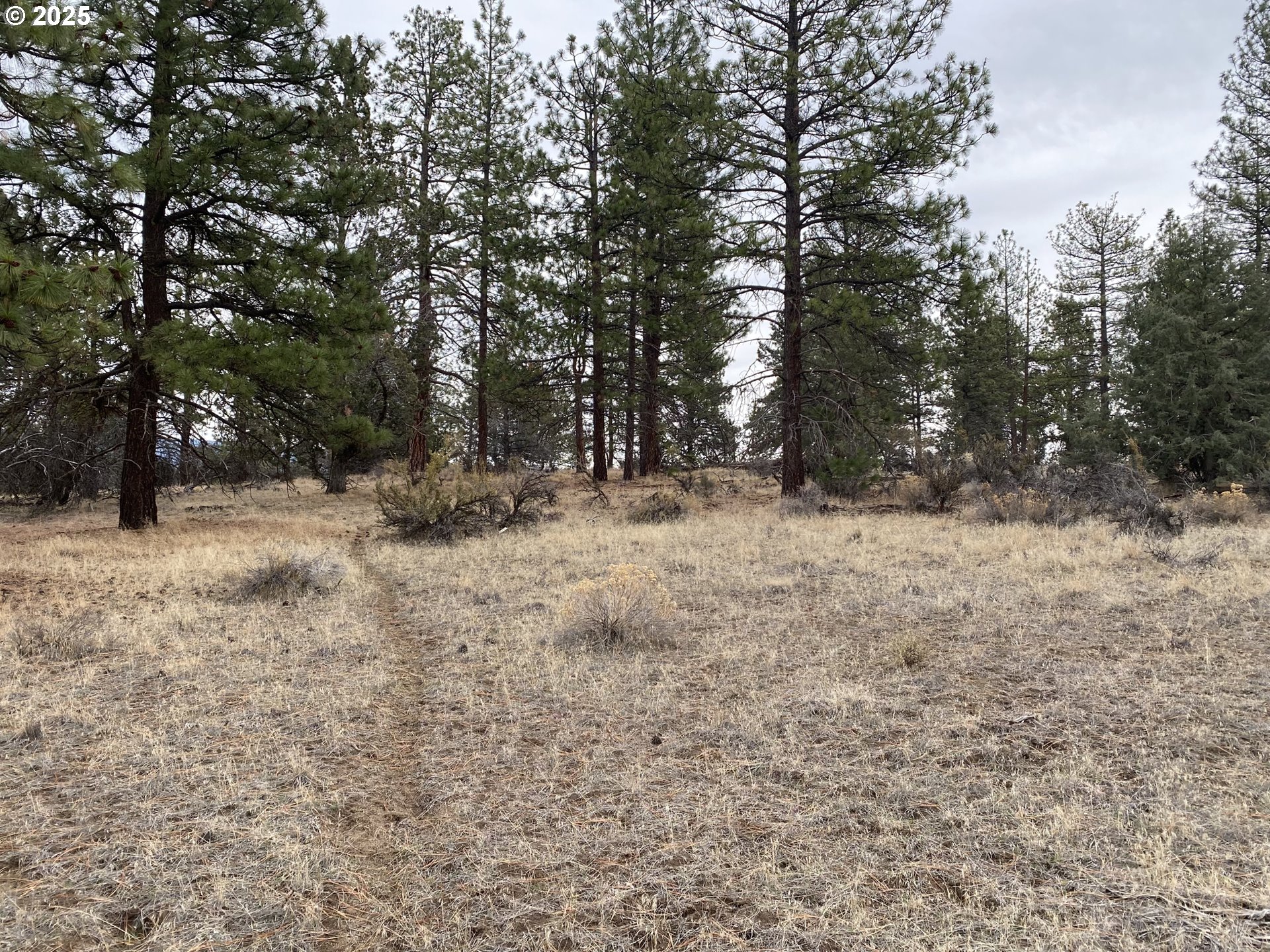 0 Widgeon Dr Property Photo 2