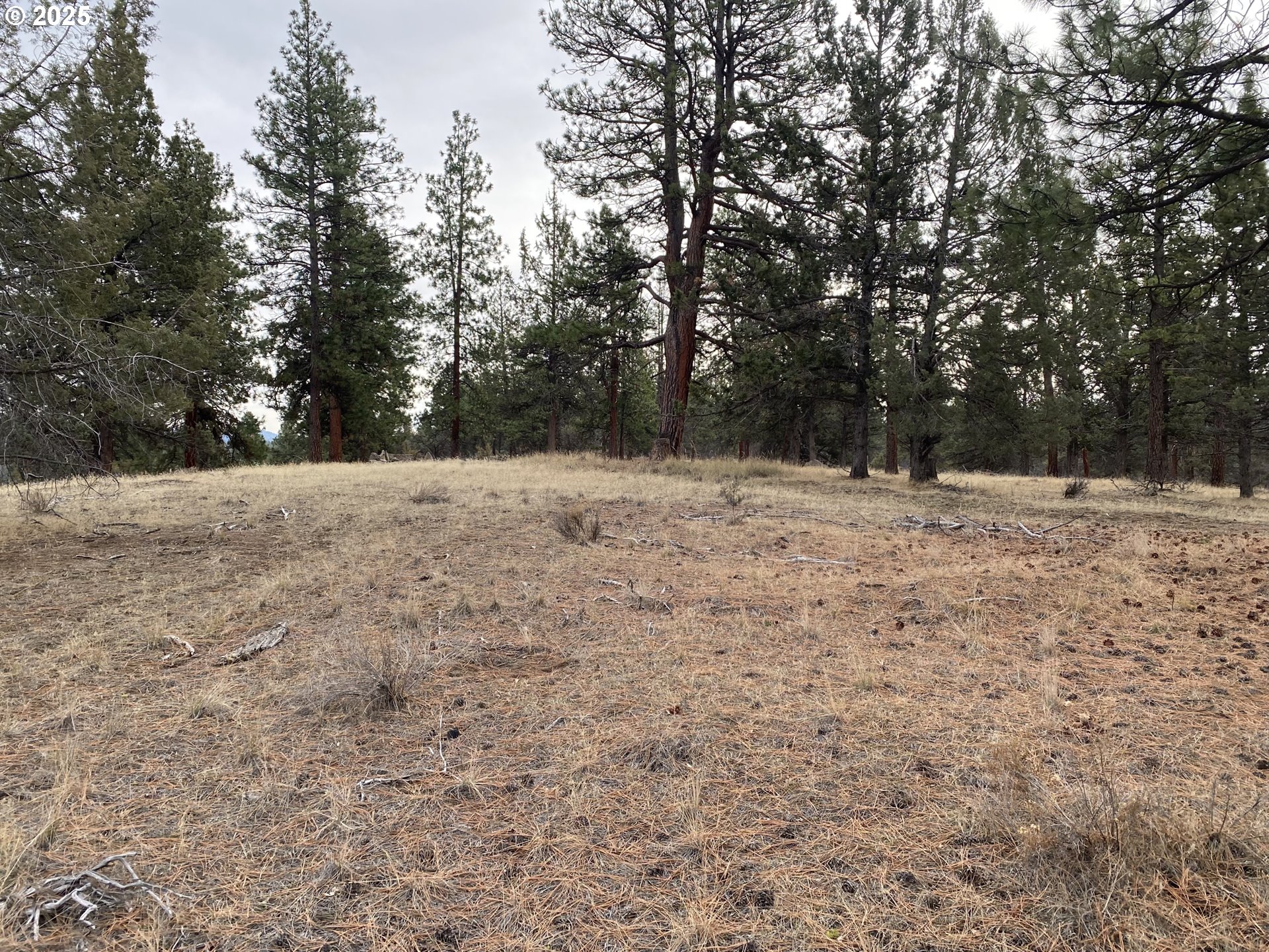 0 Widgeon Dr Property Photo 4