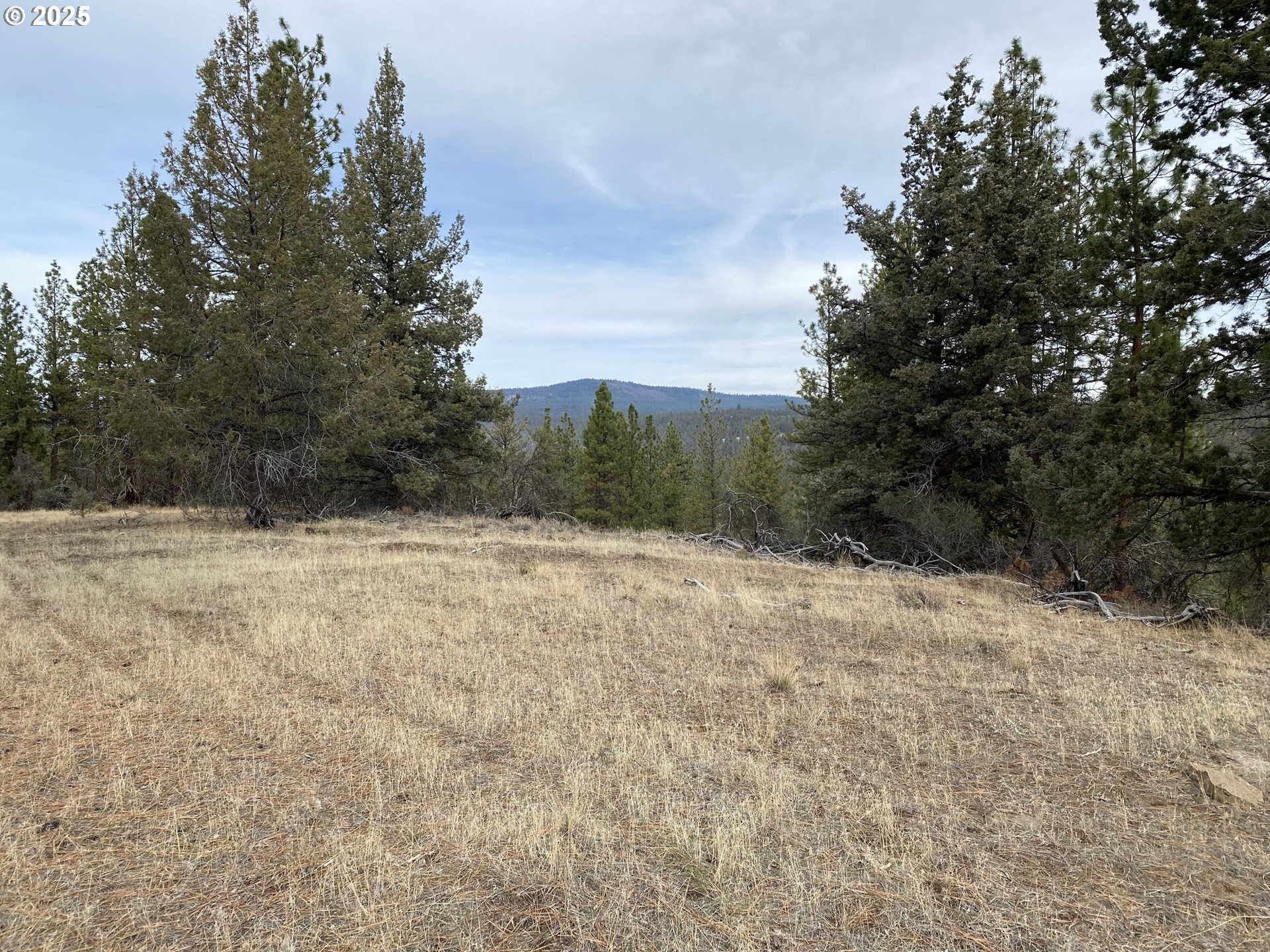 0 Widgeon Dr Property Photo 6