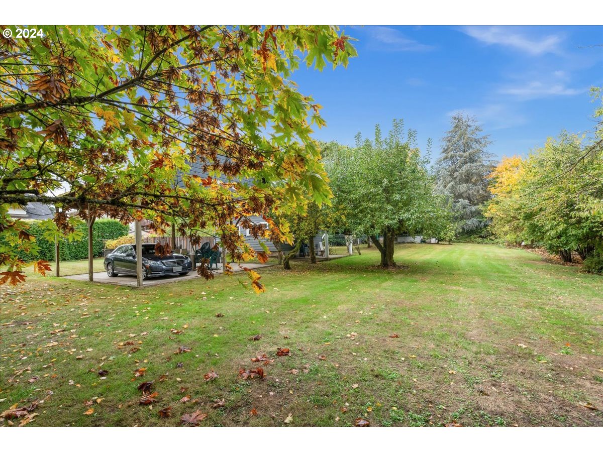 2119 B St Property Photo 35