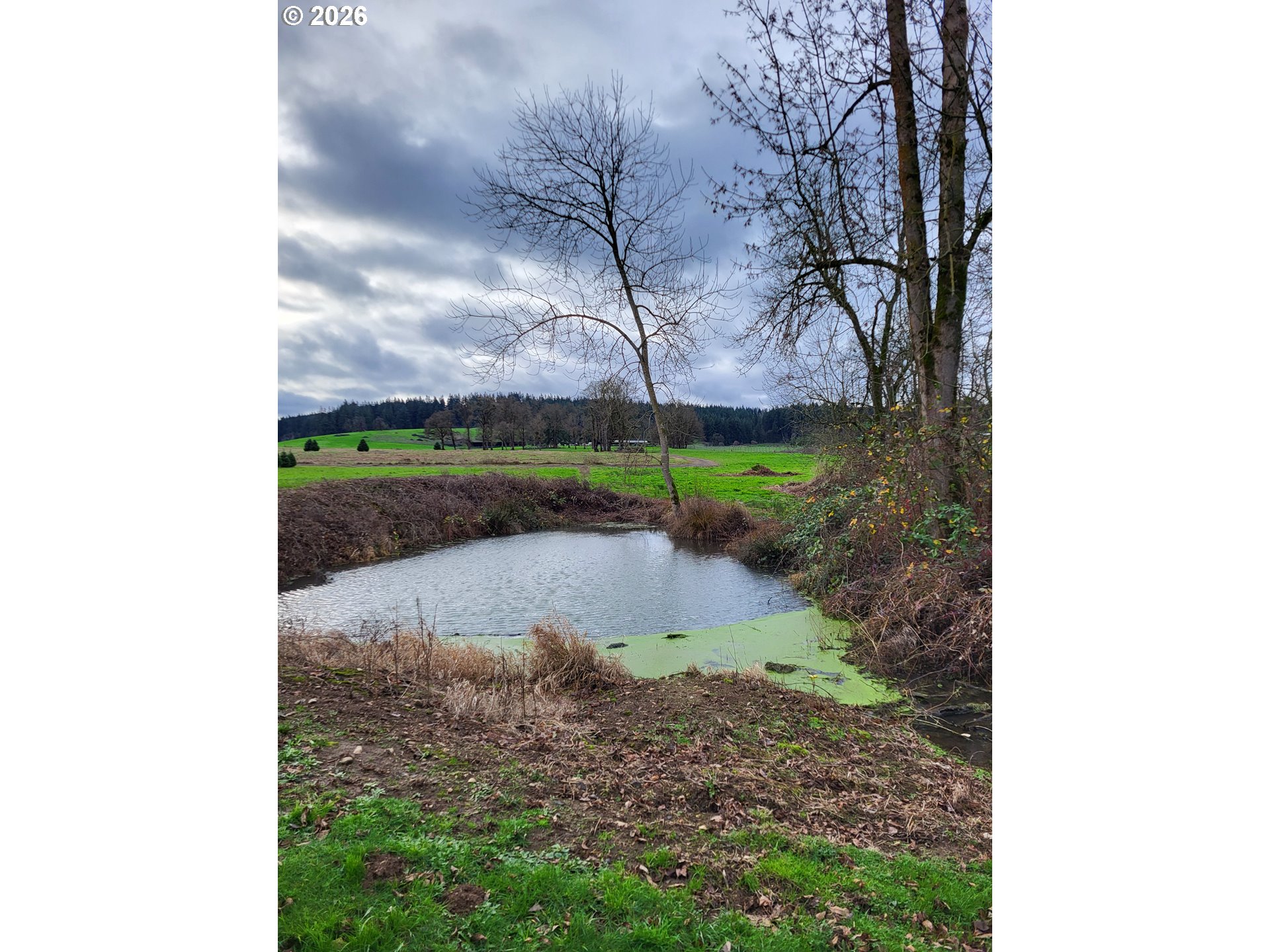 38591 Gilkey Rd Property Photo 27