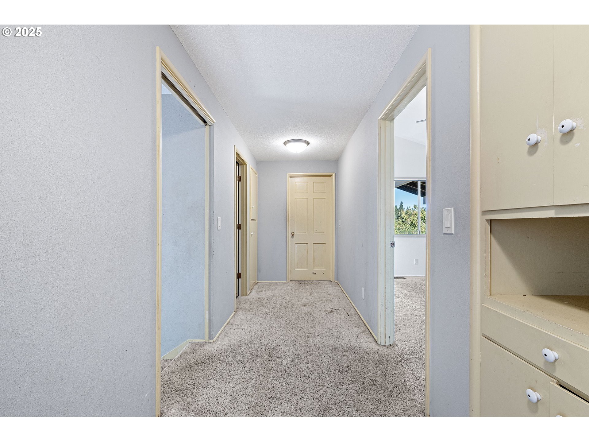 32313 Green Acres Loop Property Photo 29