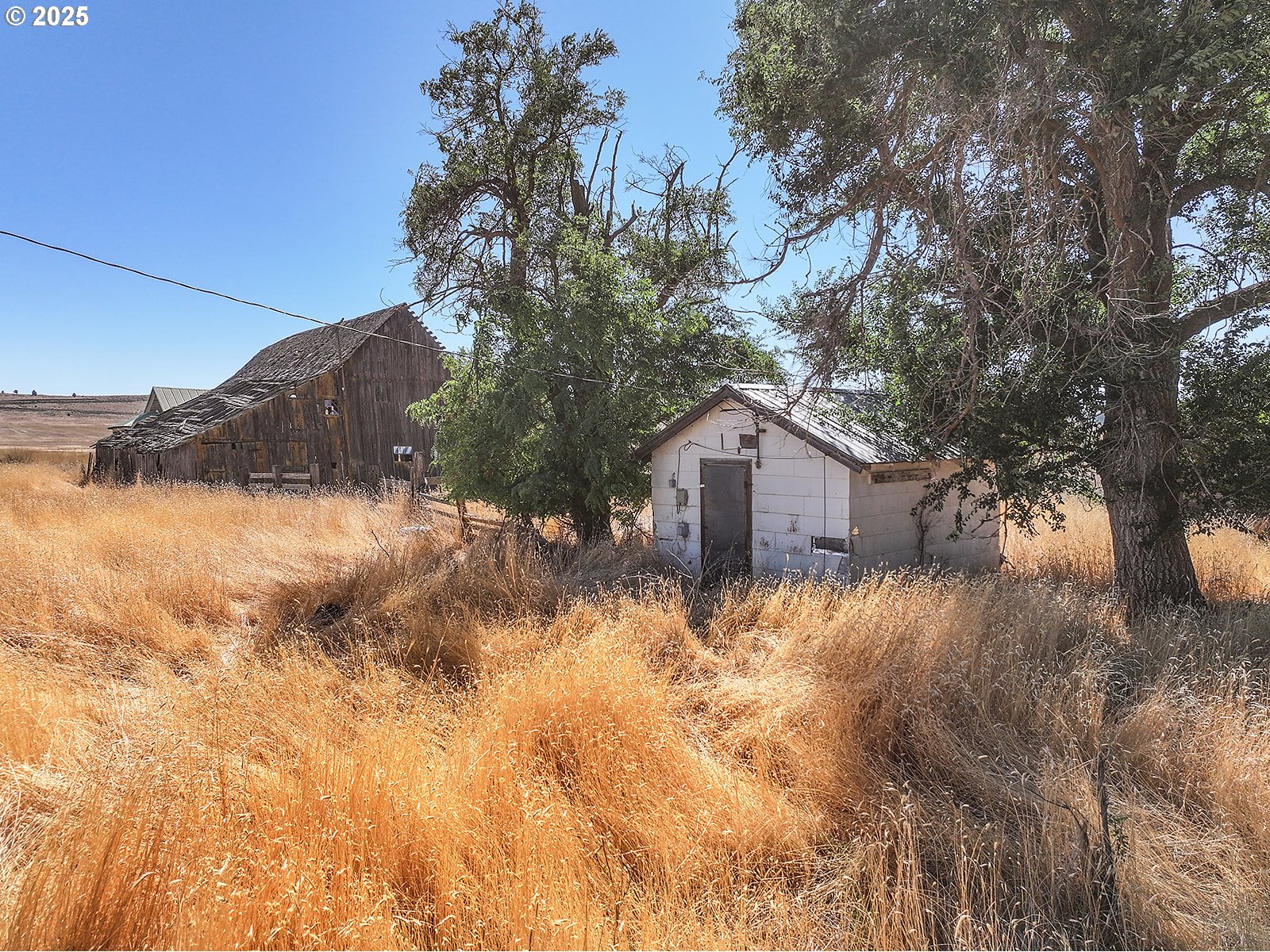 950 Hoctor Rd Property Photo 17