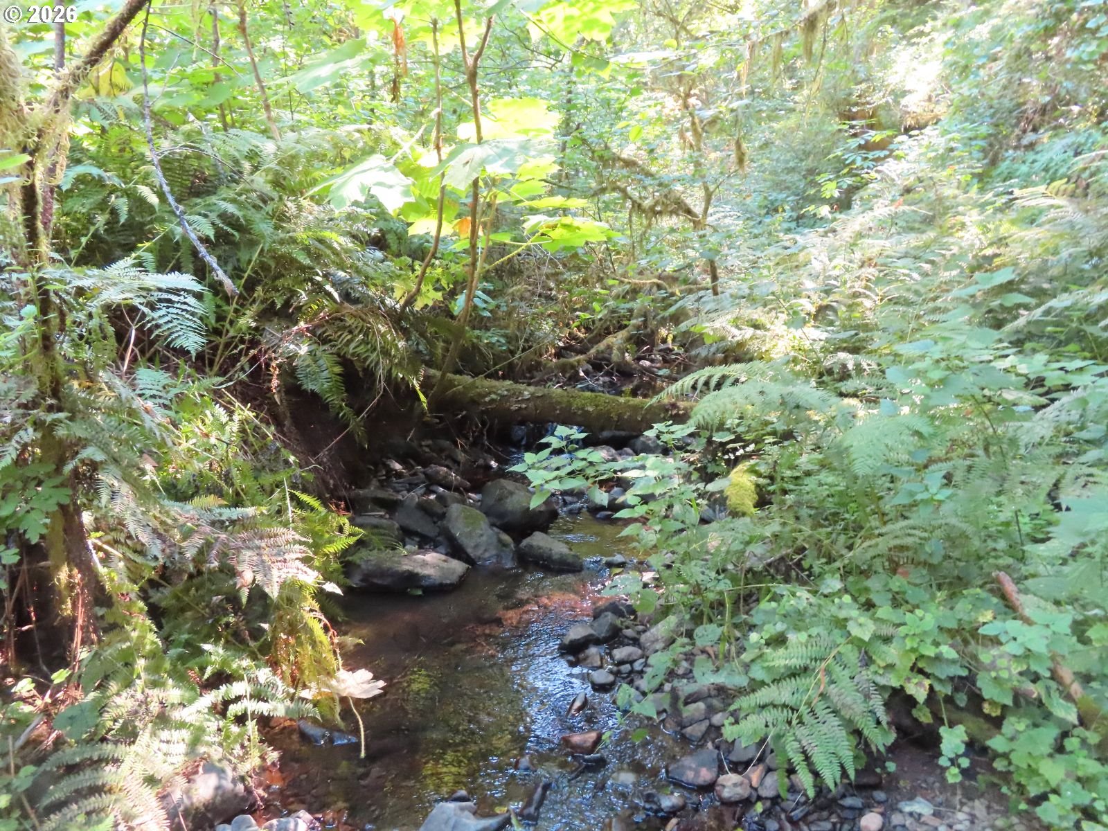 Fallert Rd Property Photo 6