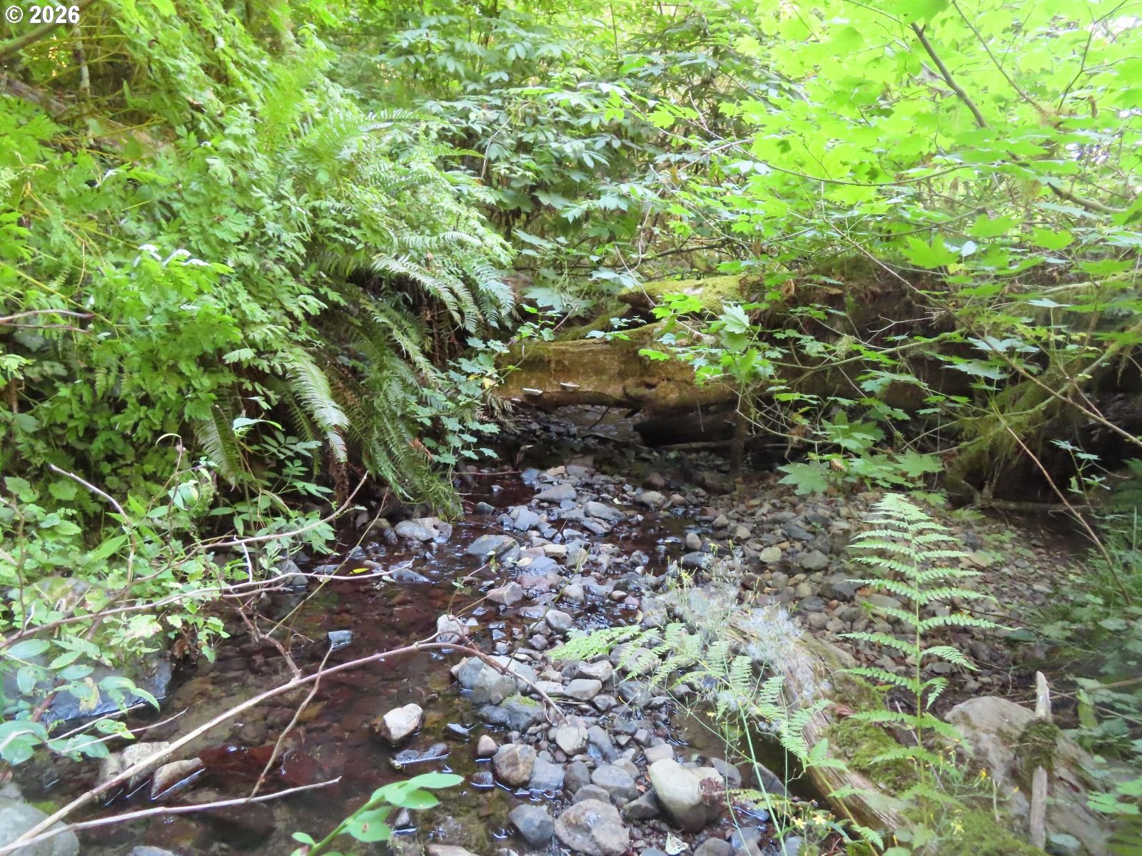 Fallert Rd Property Photo 13