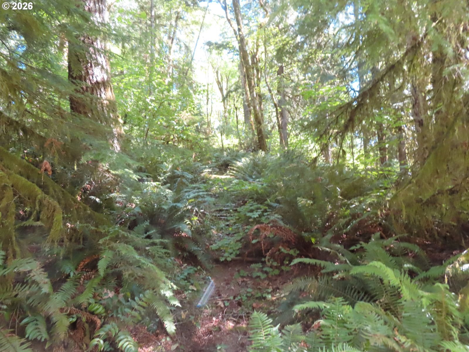 Fallert Rd Property Photo 24
