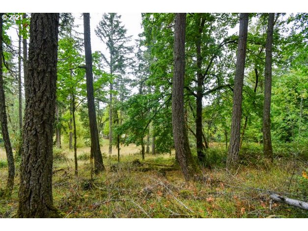 32475 Fox Hollow Rd Property Photo 3