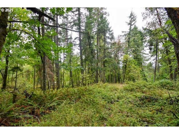 32475 Fox Hollow Rd Property Photo 5