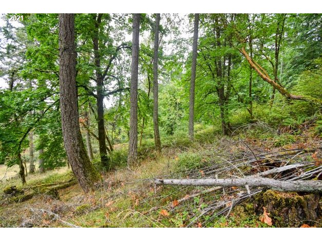 32475 Fox Hollow Rd Property Photo 7