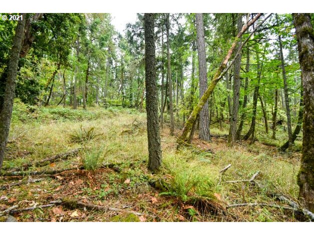32475 Fox Hollow Rd Property Photo 8