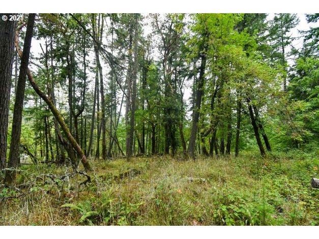 32475 Fox Hollow Rd Property Photo 9