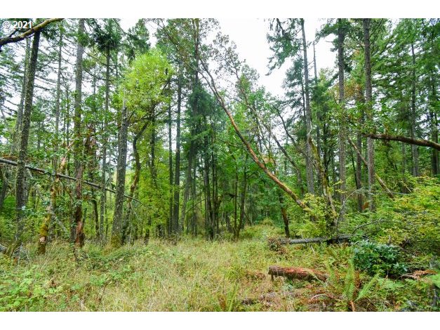 32475 Fox Hollow Rd Property Photo 10