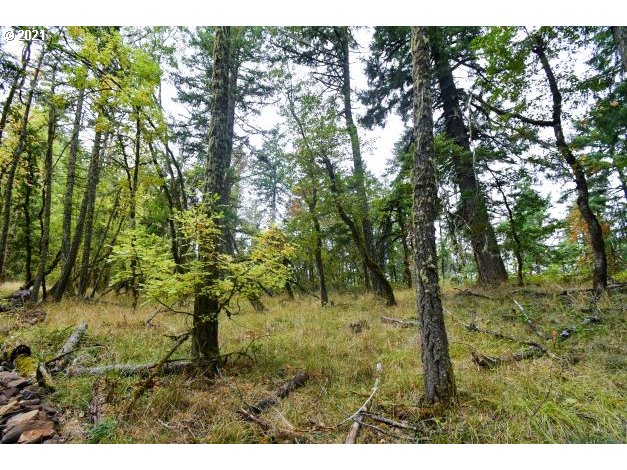 32475 Fox Hollow Rd Property Photo 11