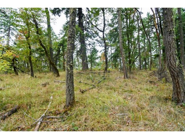 32475 Fox Hollow Rd Property Photo 12