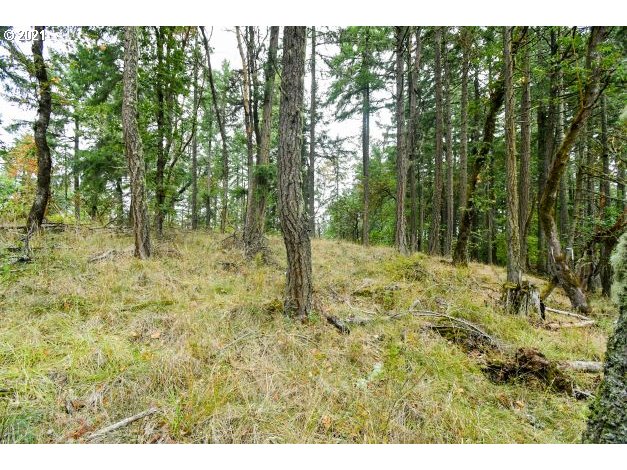 32475 Fox Hollow Rd Property Photo 13