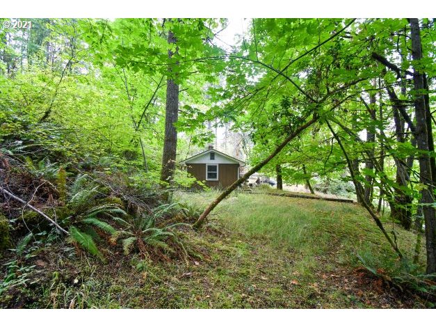 32475 Fox Hollow Rd Property Photo 14