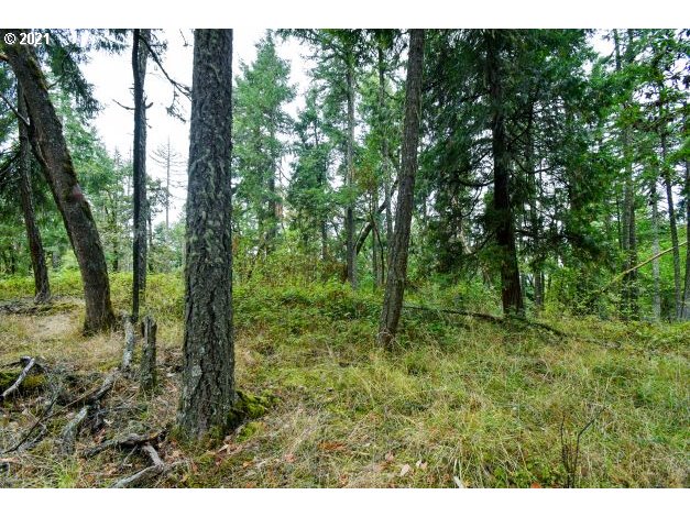 32475 Fox Hollow Rd Property Photo 17