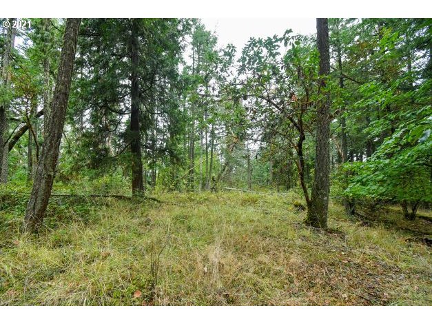 32475 Fox Hollow Rd Property Photo 18