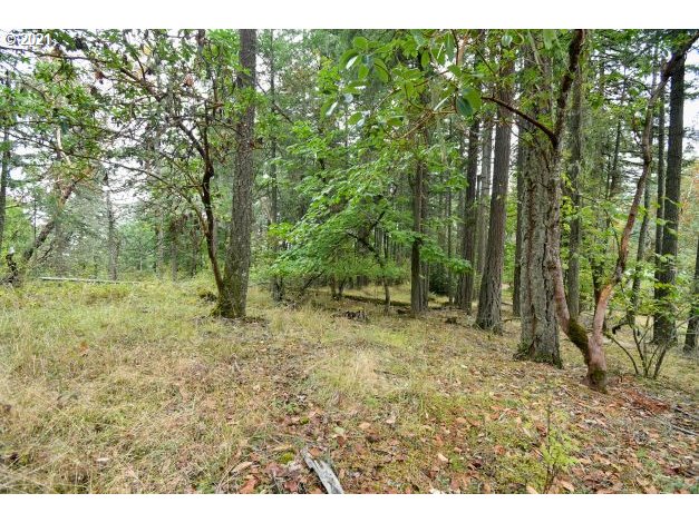 32475 Fox Hollow Rd Property Photo 19